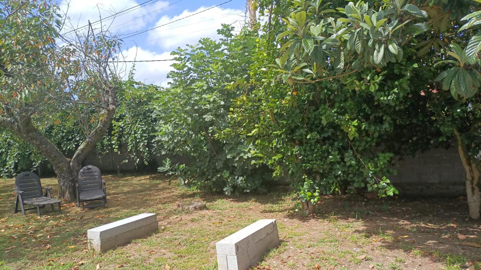 Photo 36