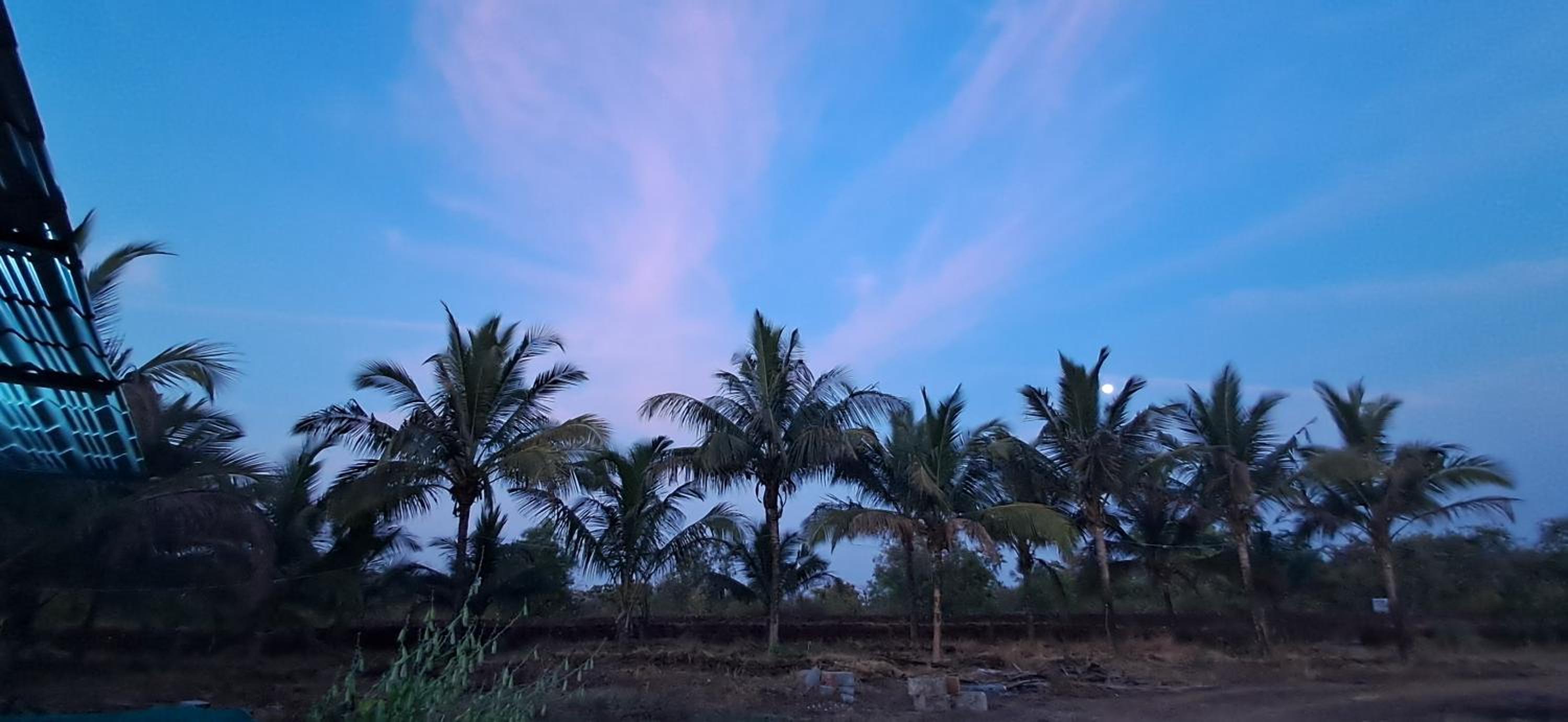 Arpita FarmStay