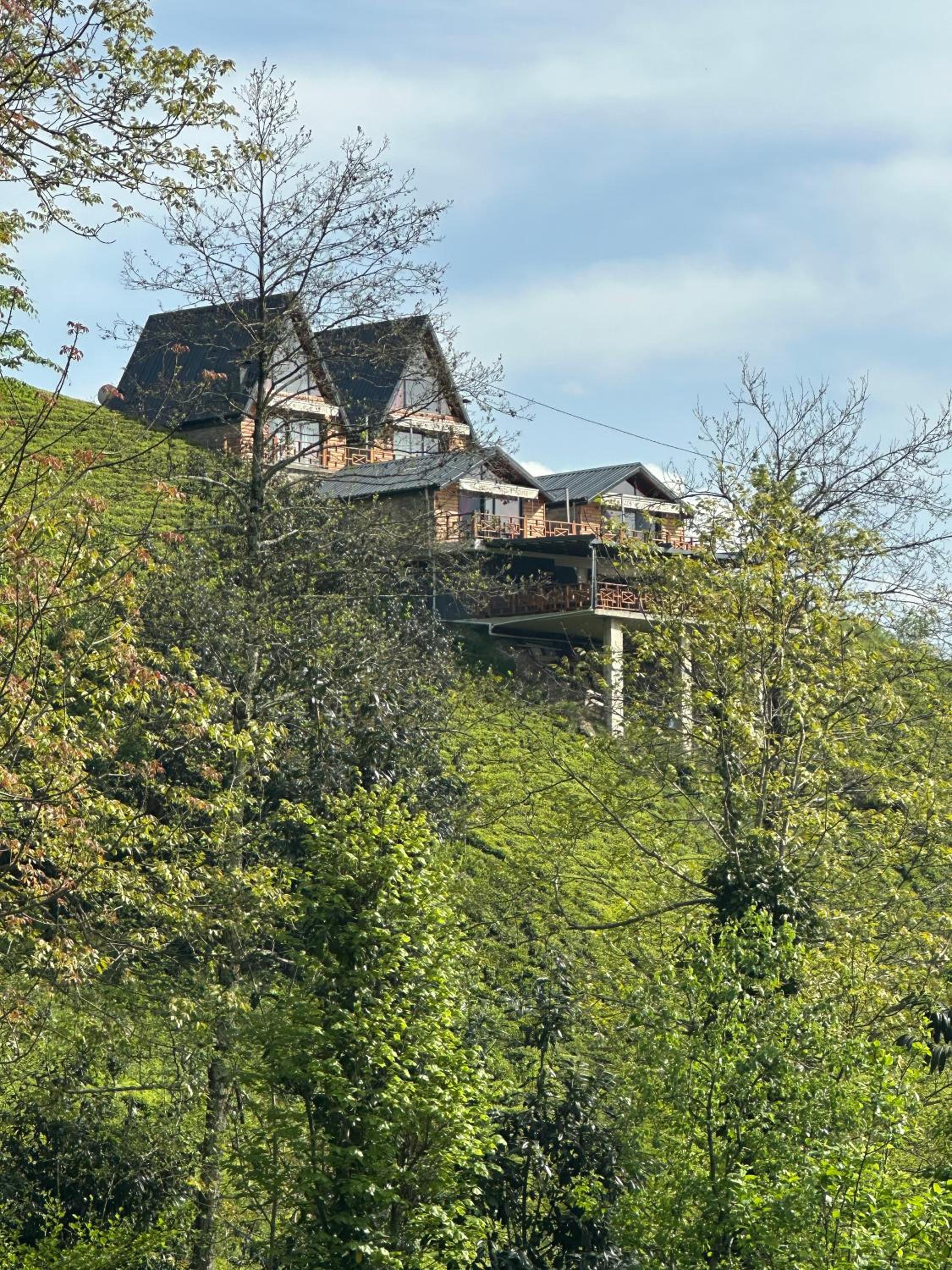 CELAZENİ BUNGALOV