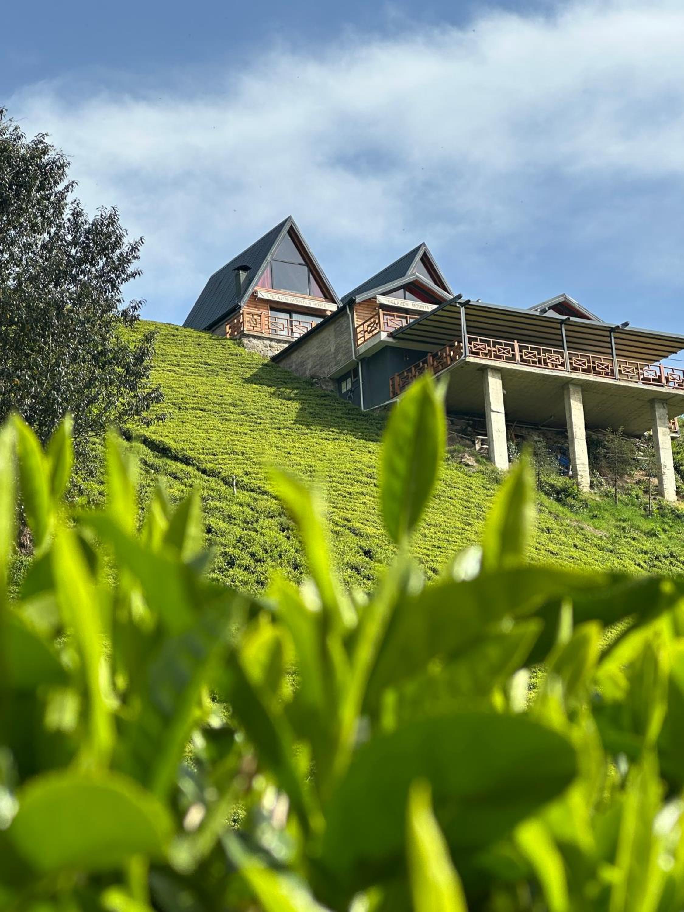 CELAZENİ BUNGALOV