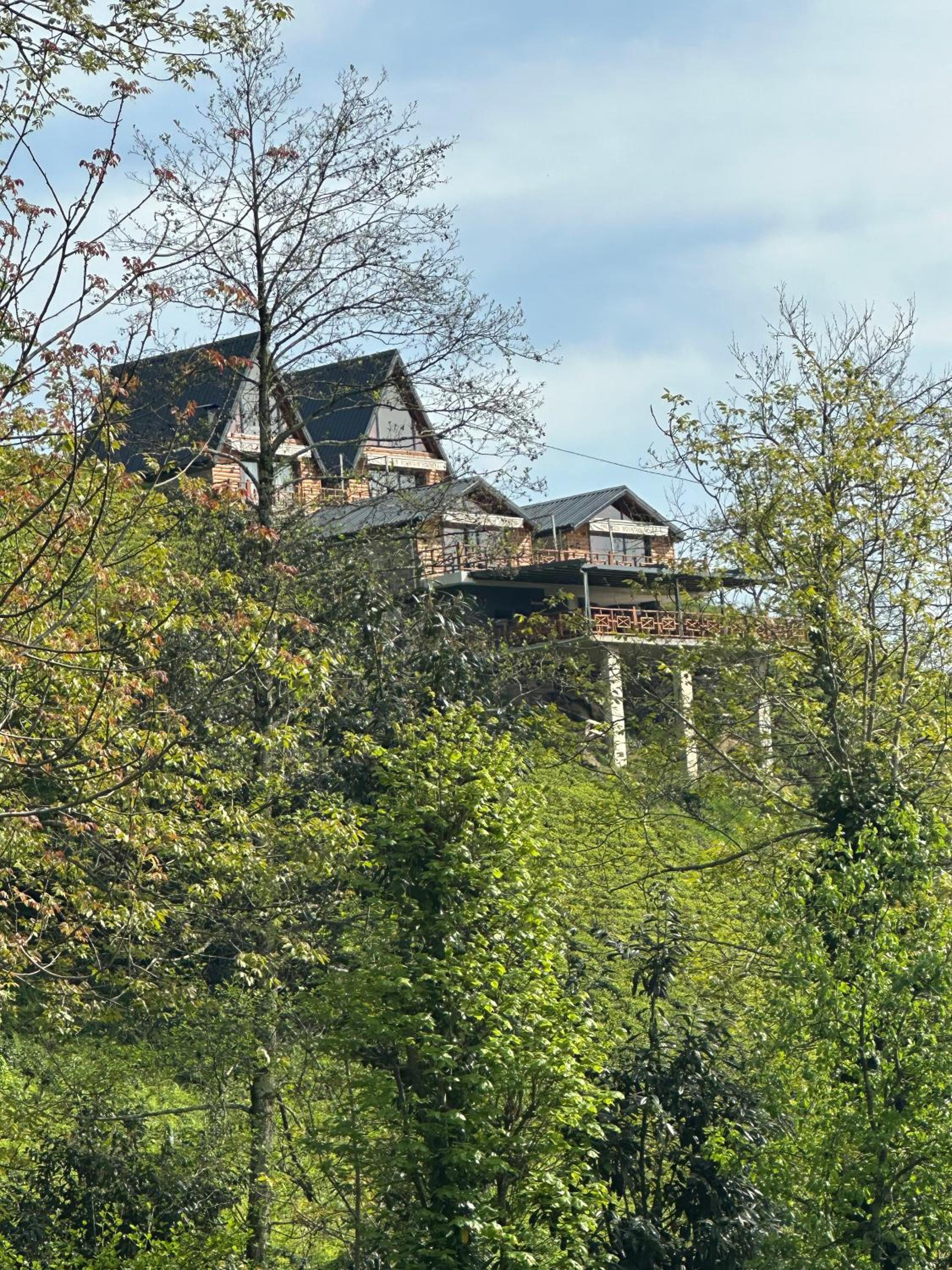 CELAZENİ BUNGALOV