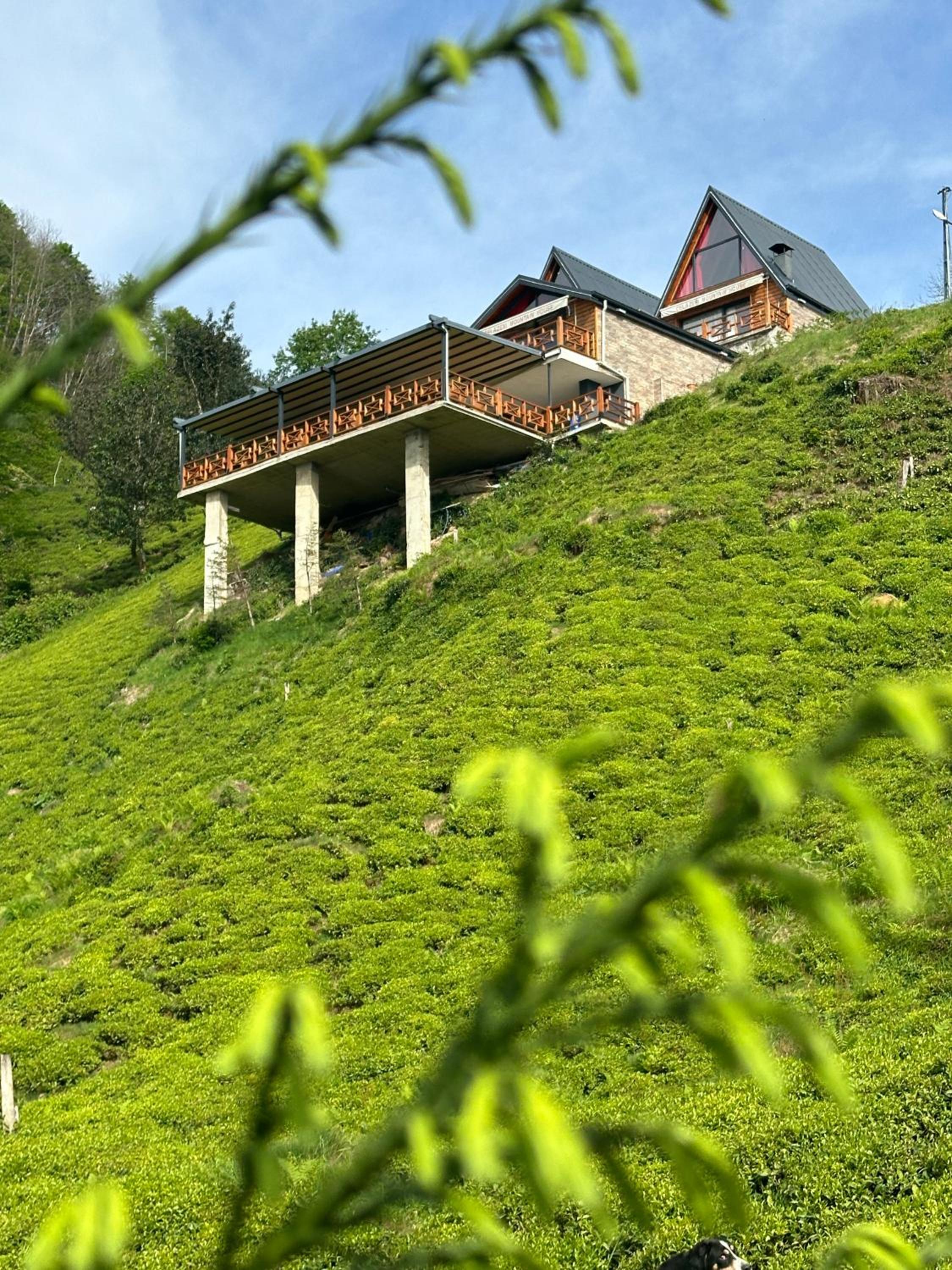CELAZENİ BUNGALOV