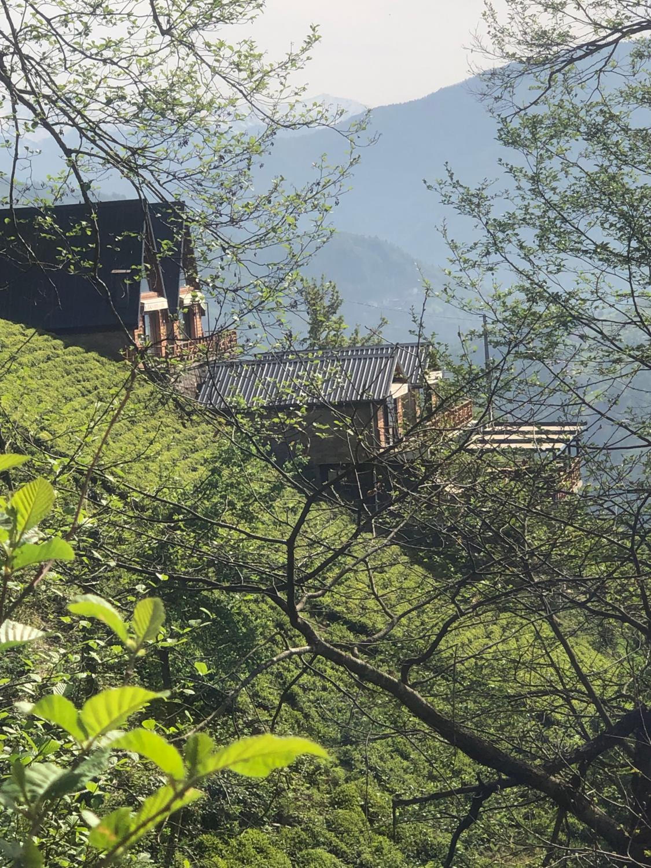 CELAZENİ BUNGALOV