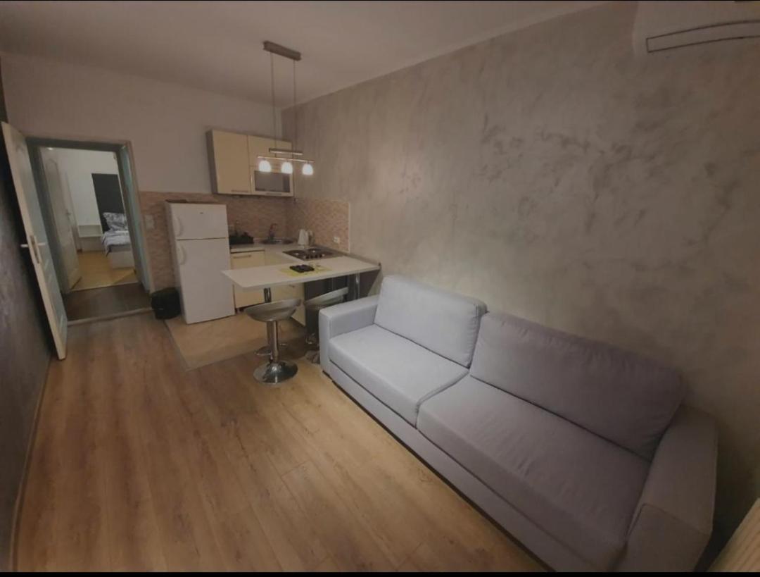 APARTMENT PARK AVENUE view 3
