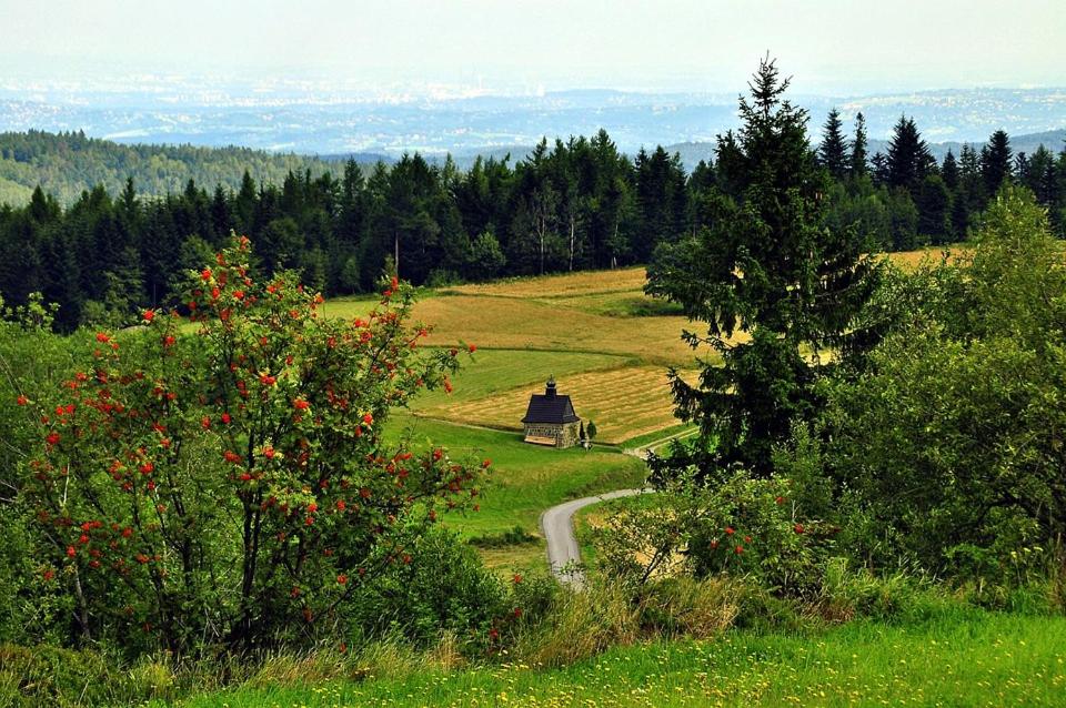 Vyhlídka pod Javorovým