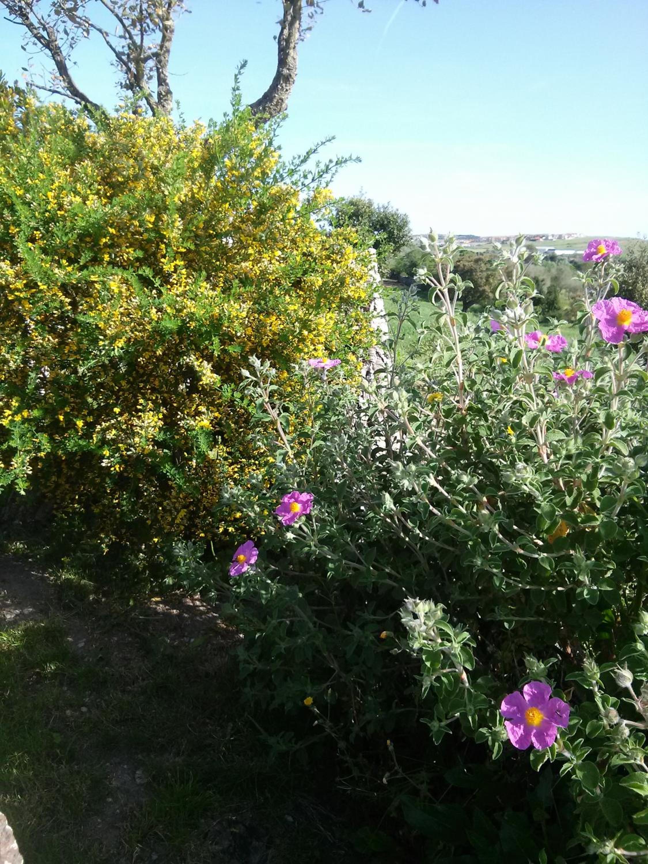 Agriturismo Su Recreu