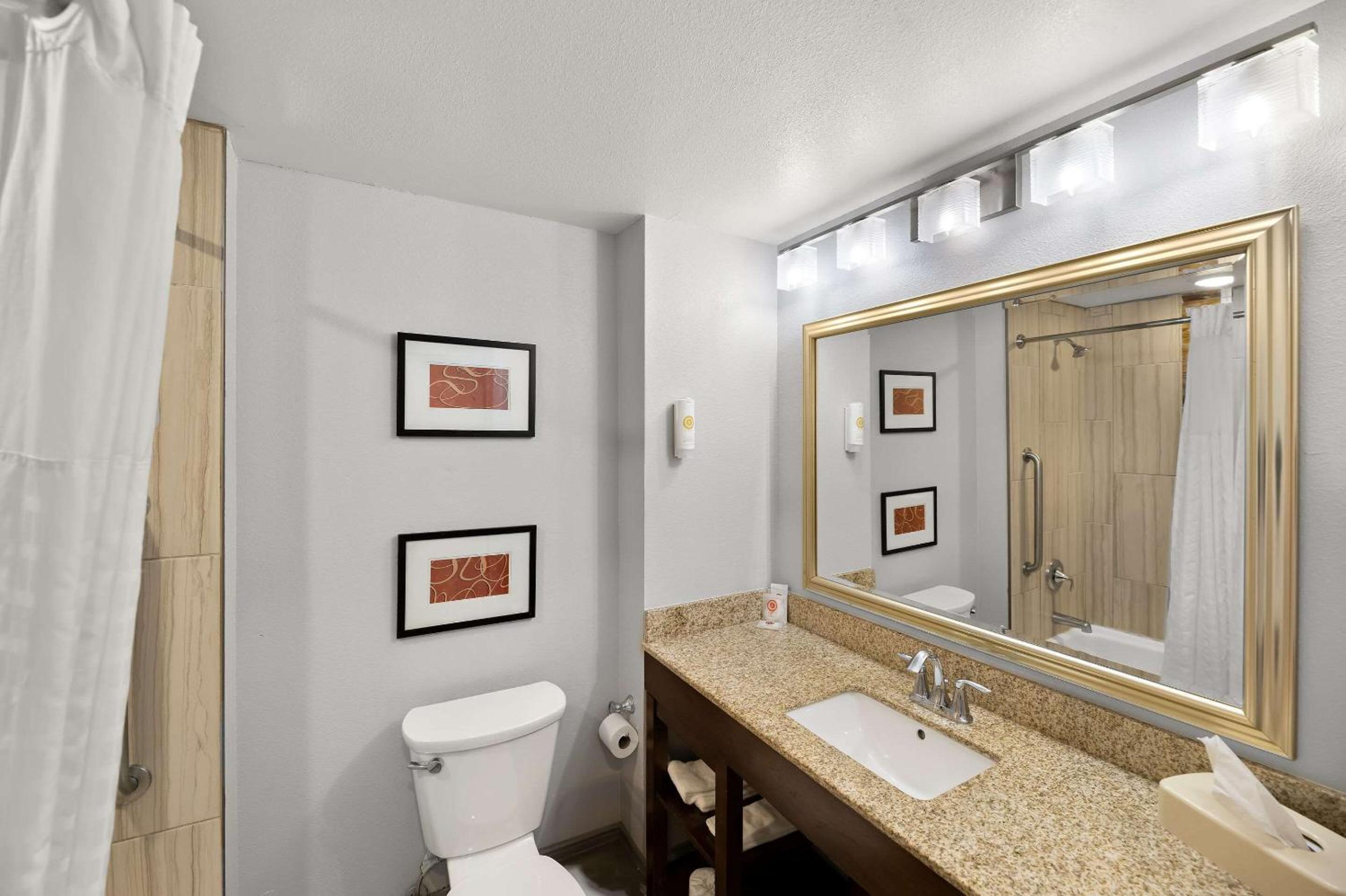 Comfort Inn  Suites - Property Image 12