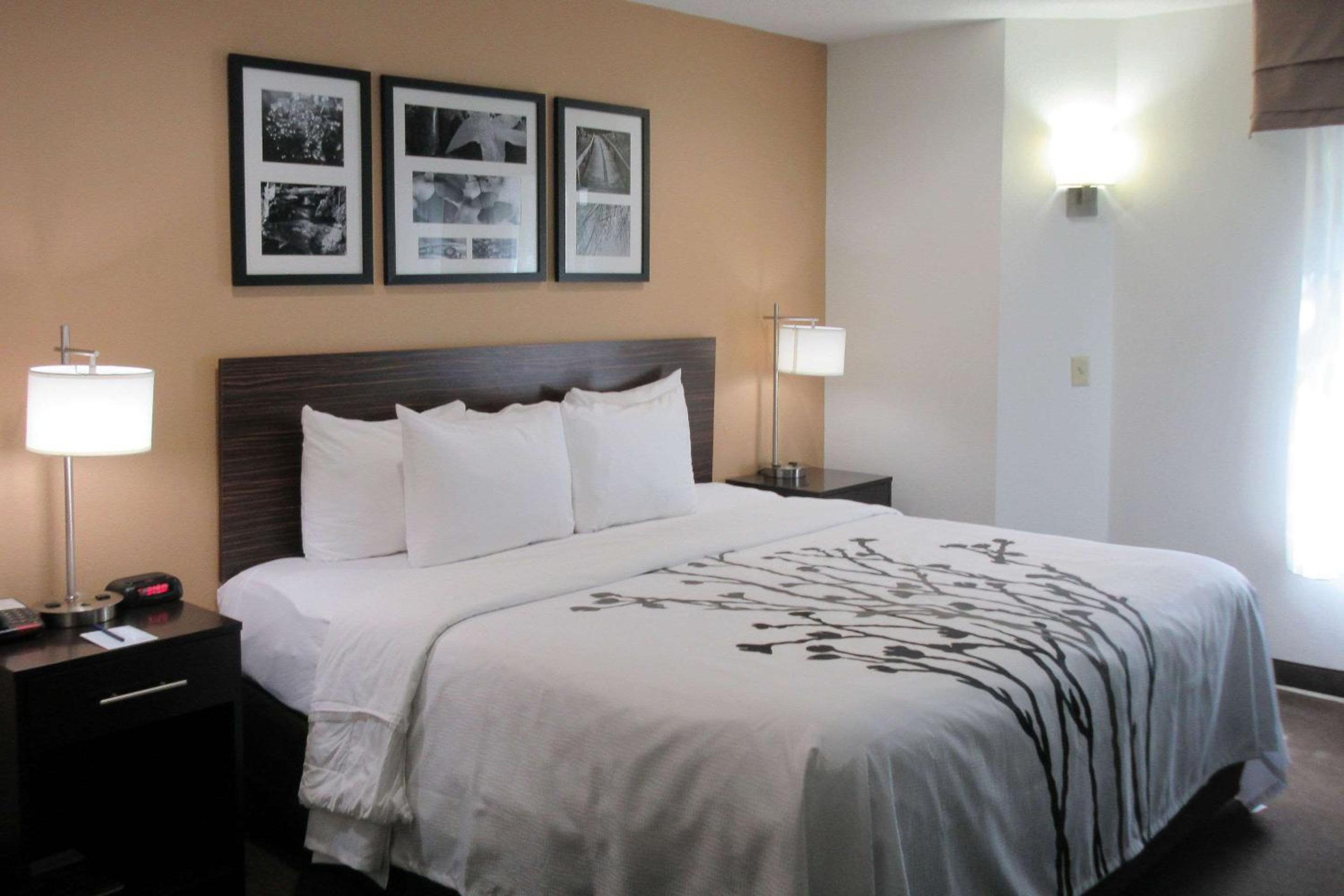 Sleep Inn view 3