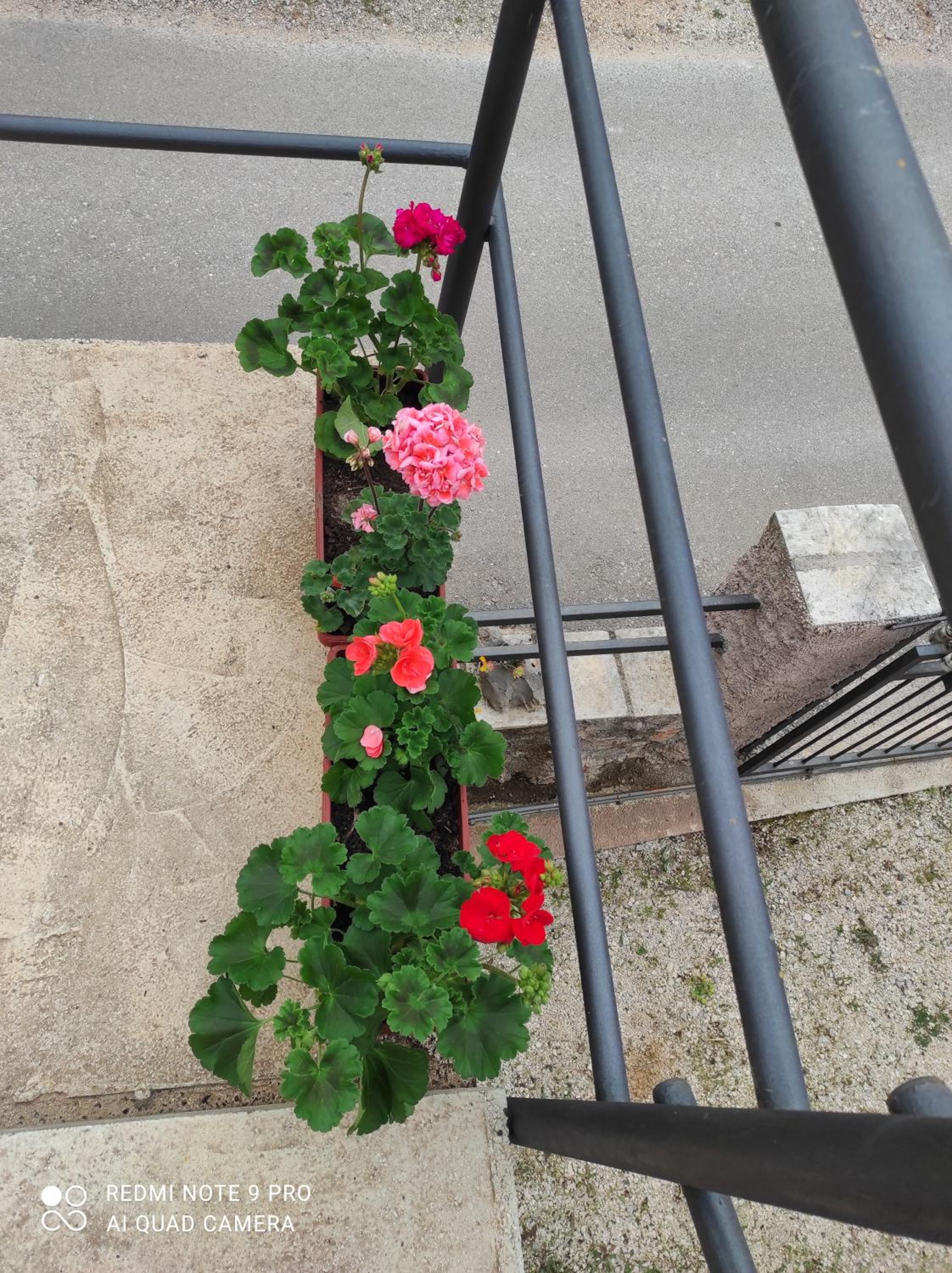 Apartman u sumi nedaleko od mora