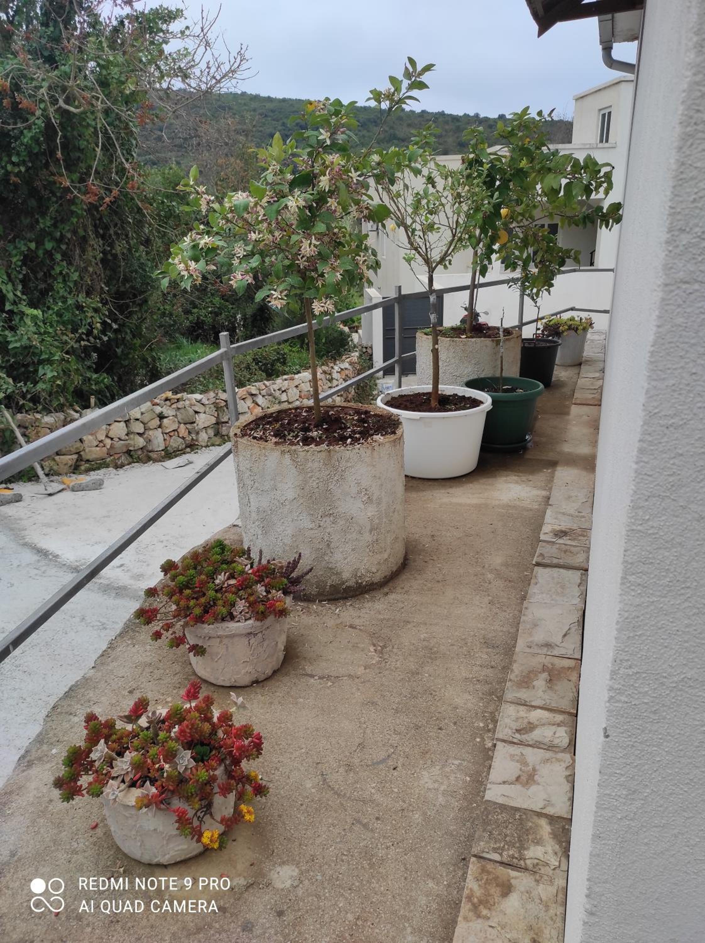 Apartman u sumi nedaleko od mora