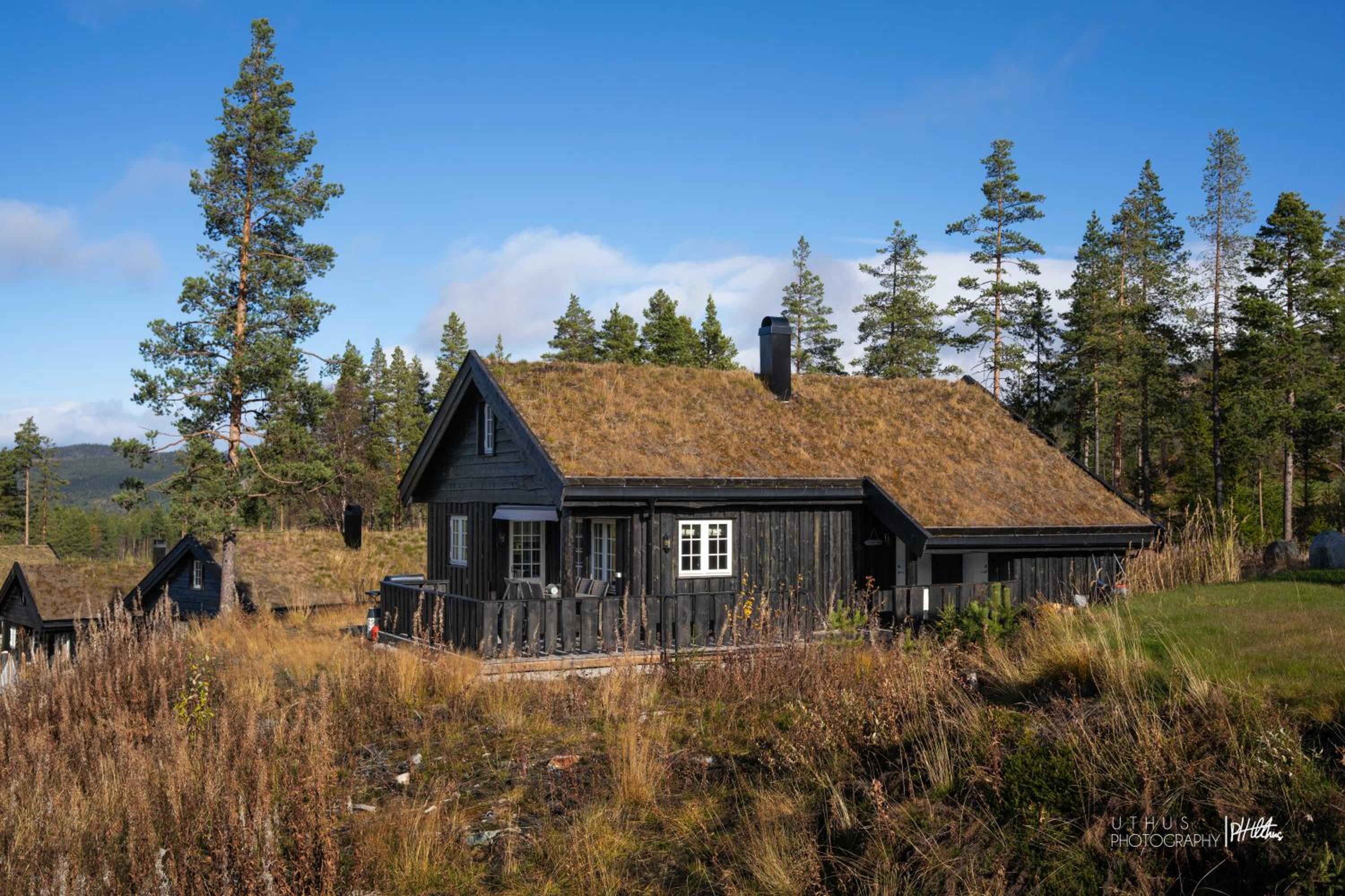 Nesfjellet
