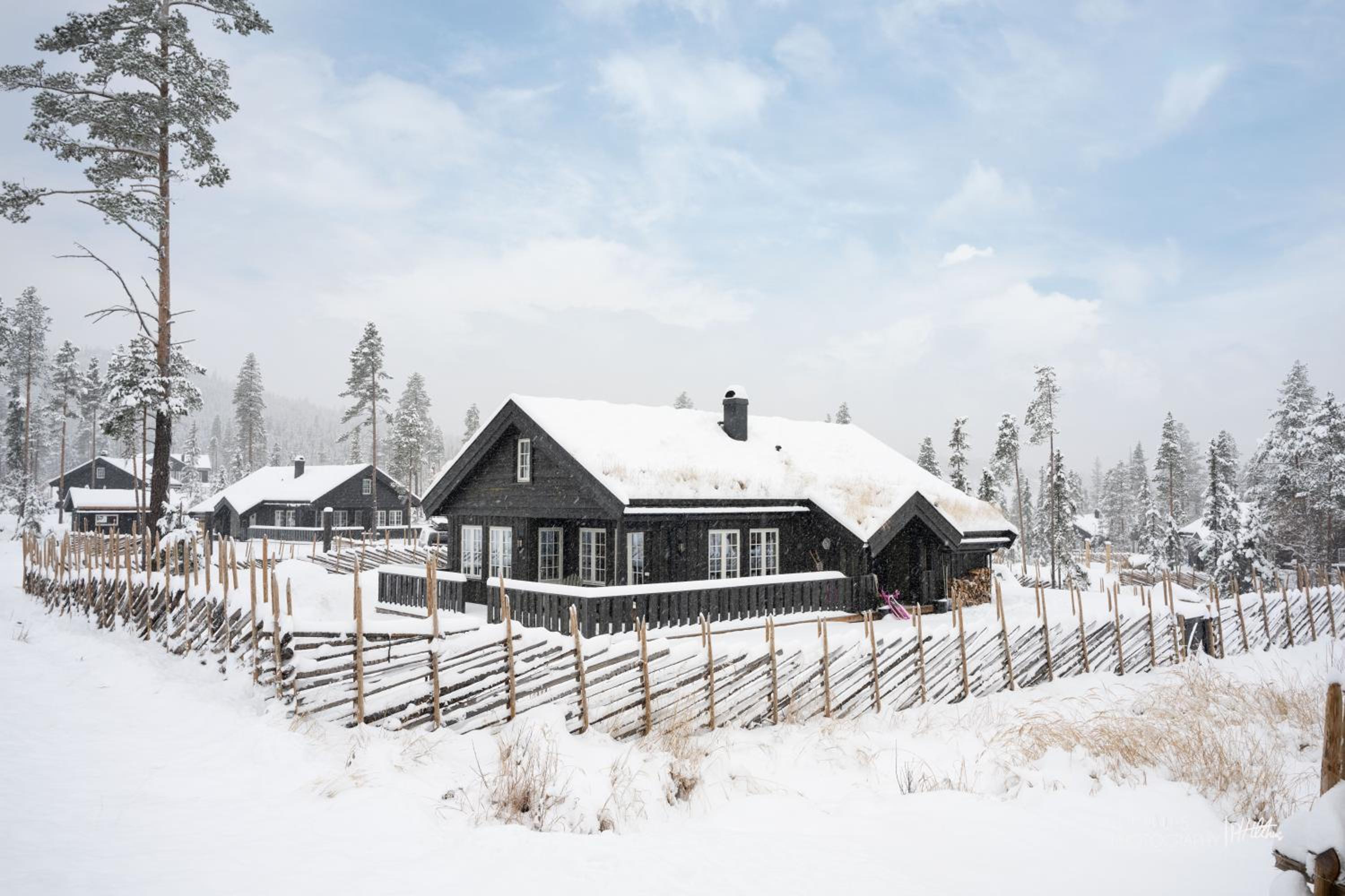 Nesfjellet