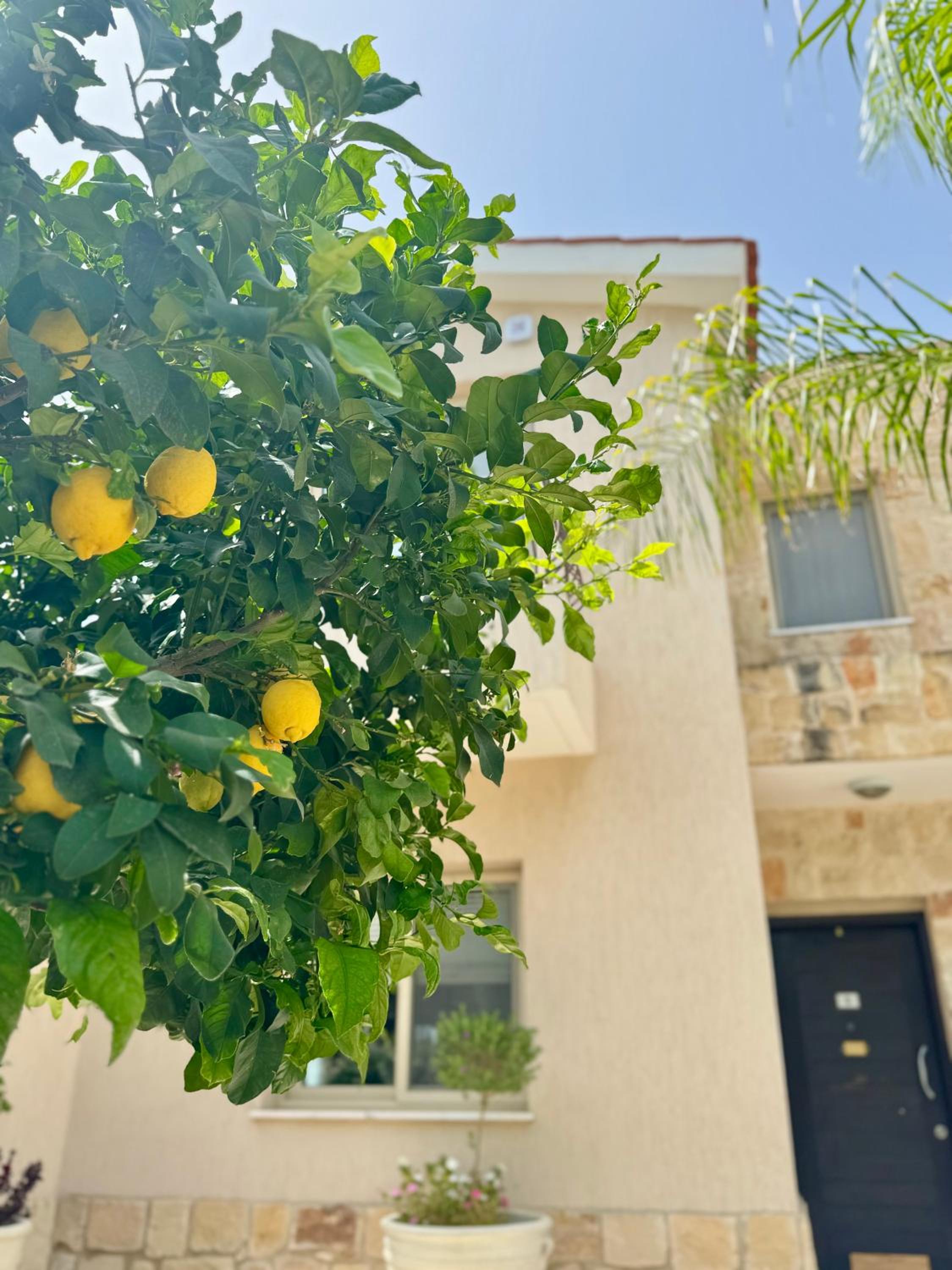 VILLA HERMINE Paphos