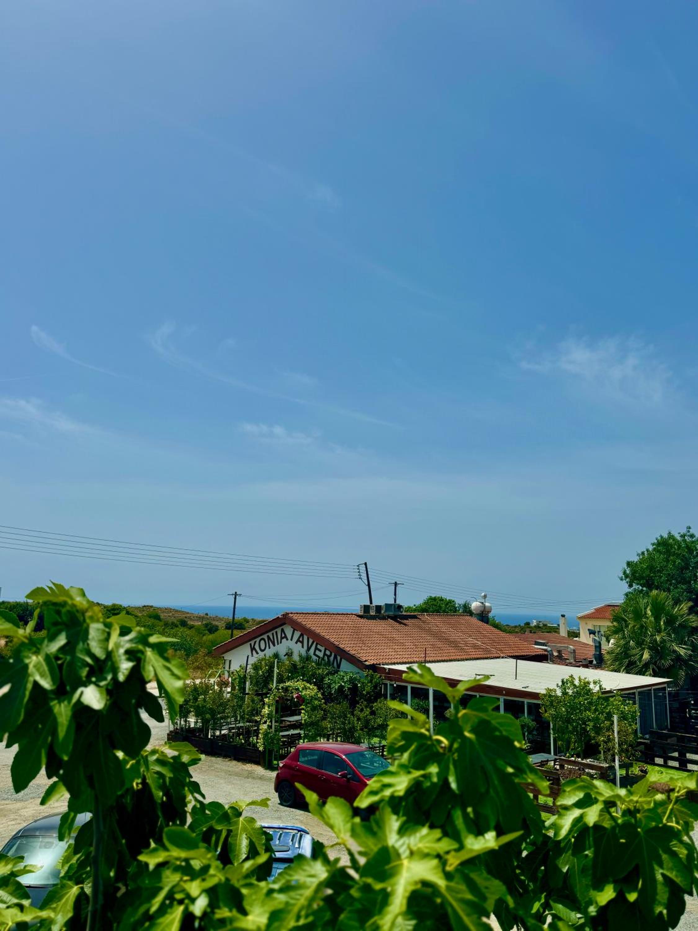 VILLA HERMINE Paphos