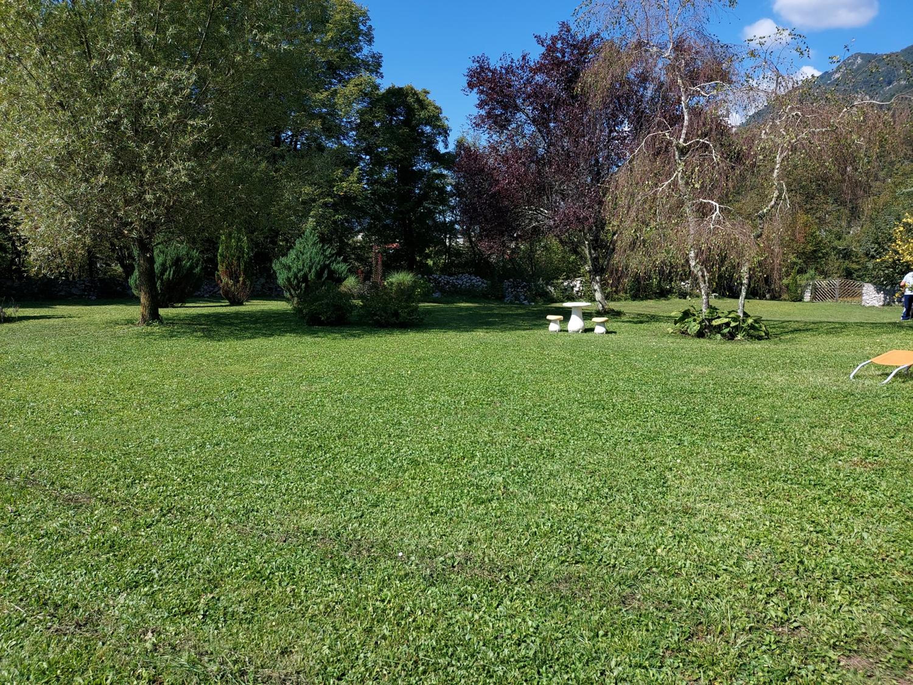 Photo 52