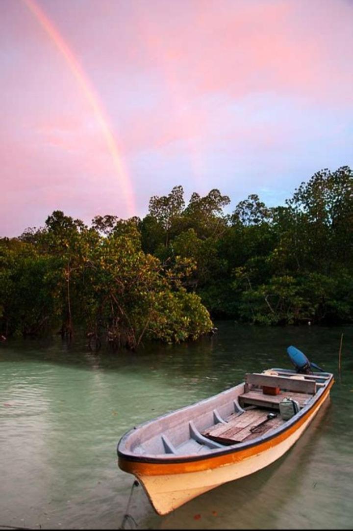 Raja Ampat Blue Sea