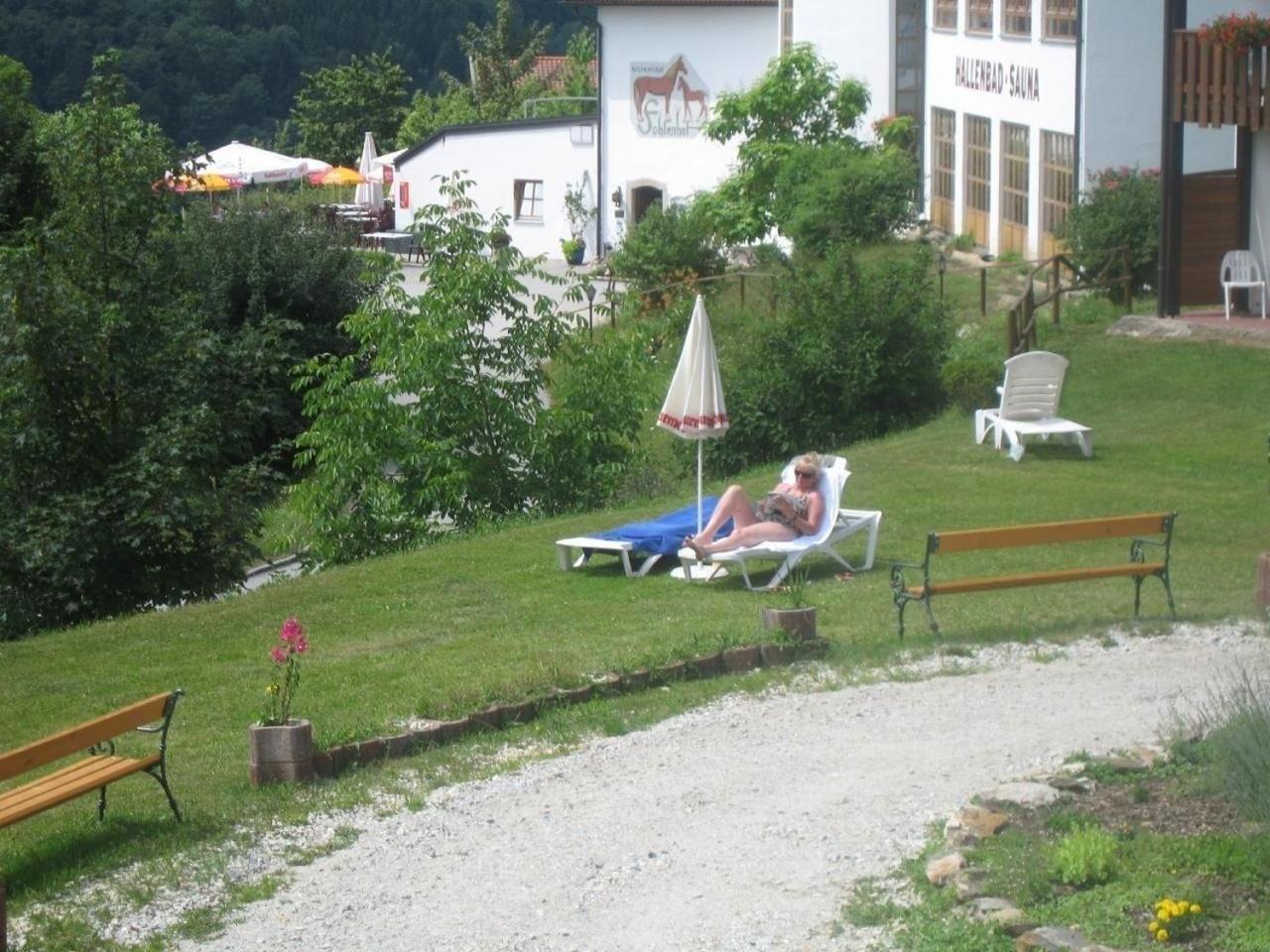 Gemütliche Ferienwohnung Mit Blick Auf Die Donau