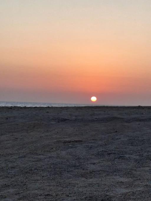 casablanca red sea