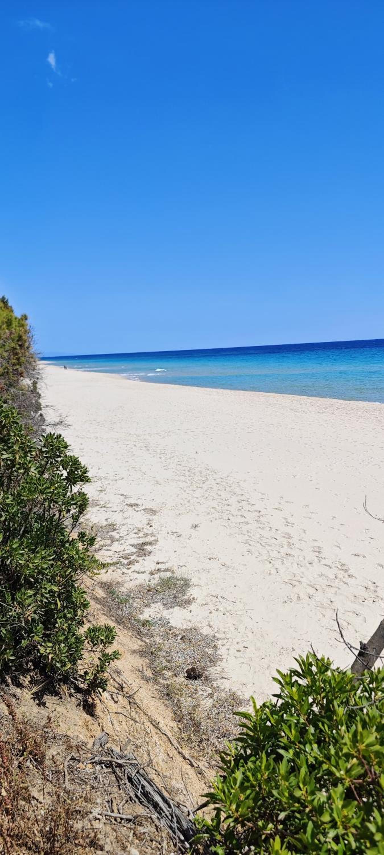 Villa Amantea photo 5