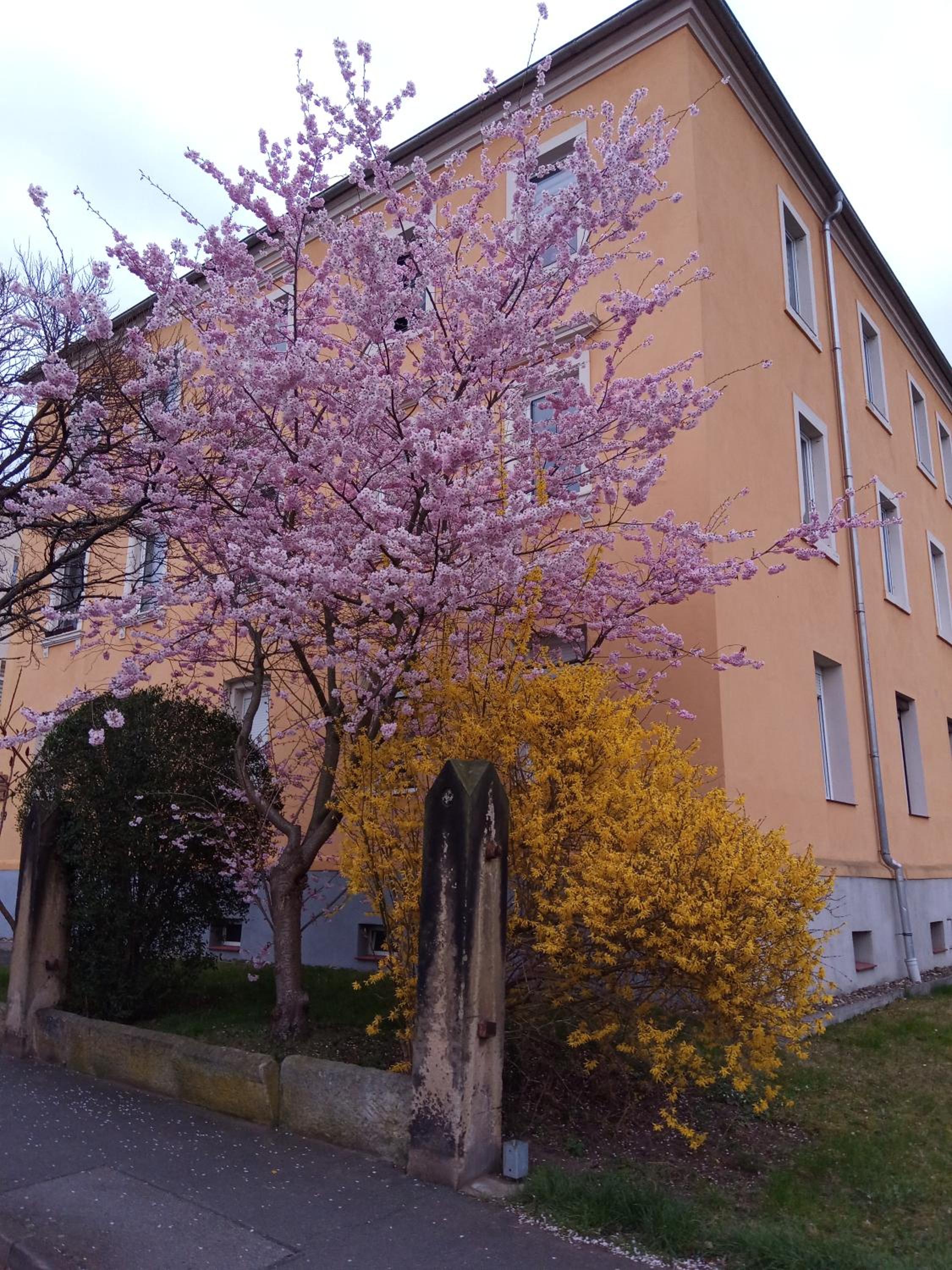 Photo 30