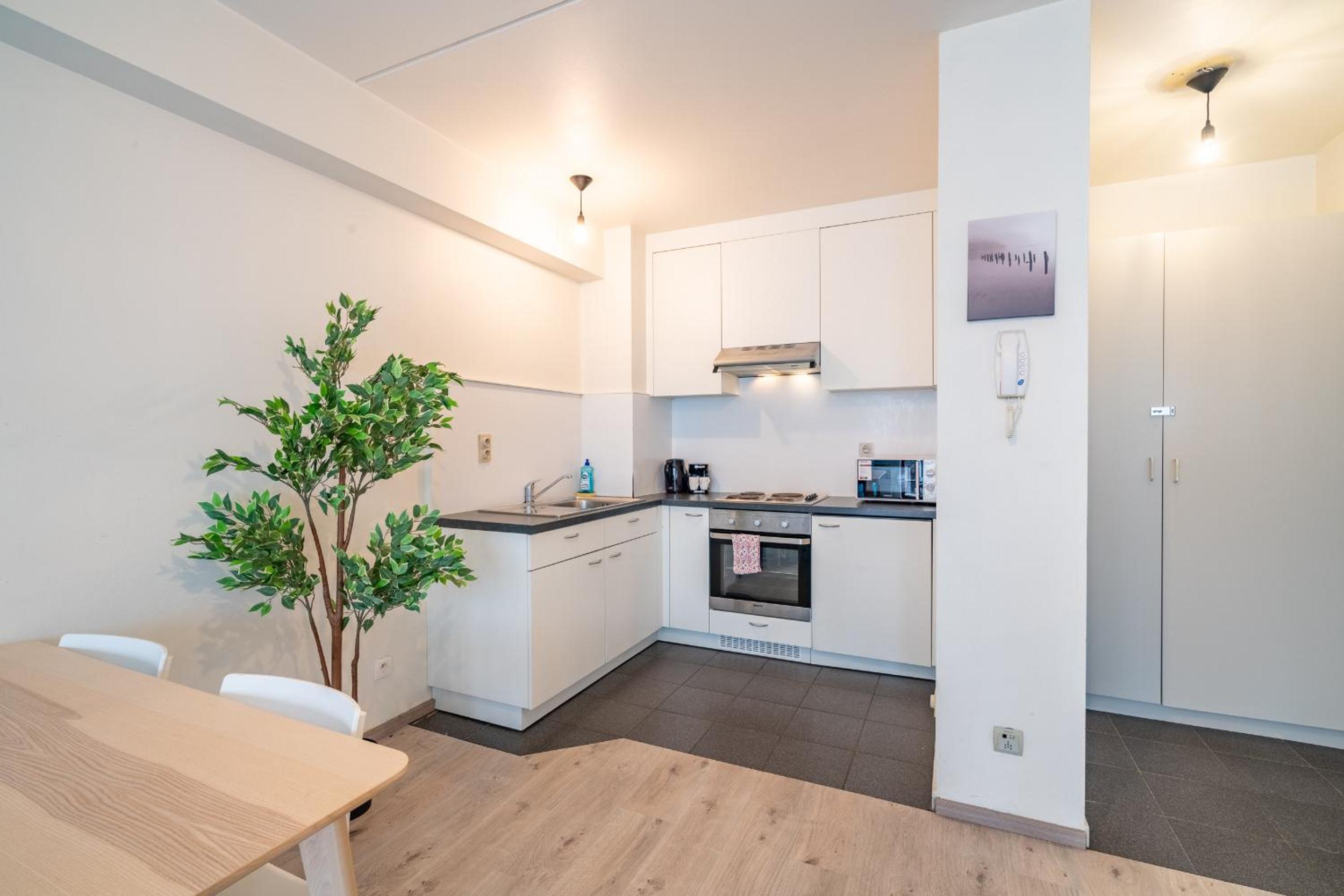 Bright Apartments In The Heart Of Antwerp