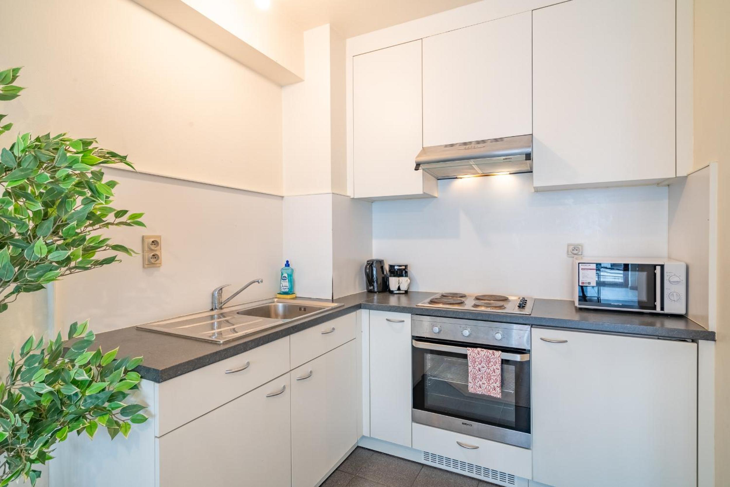 Bright Apartments In The Heart Of Antwerp