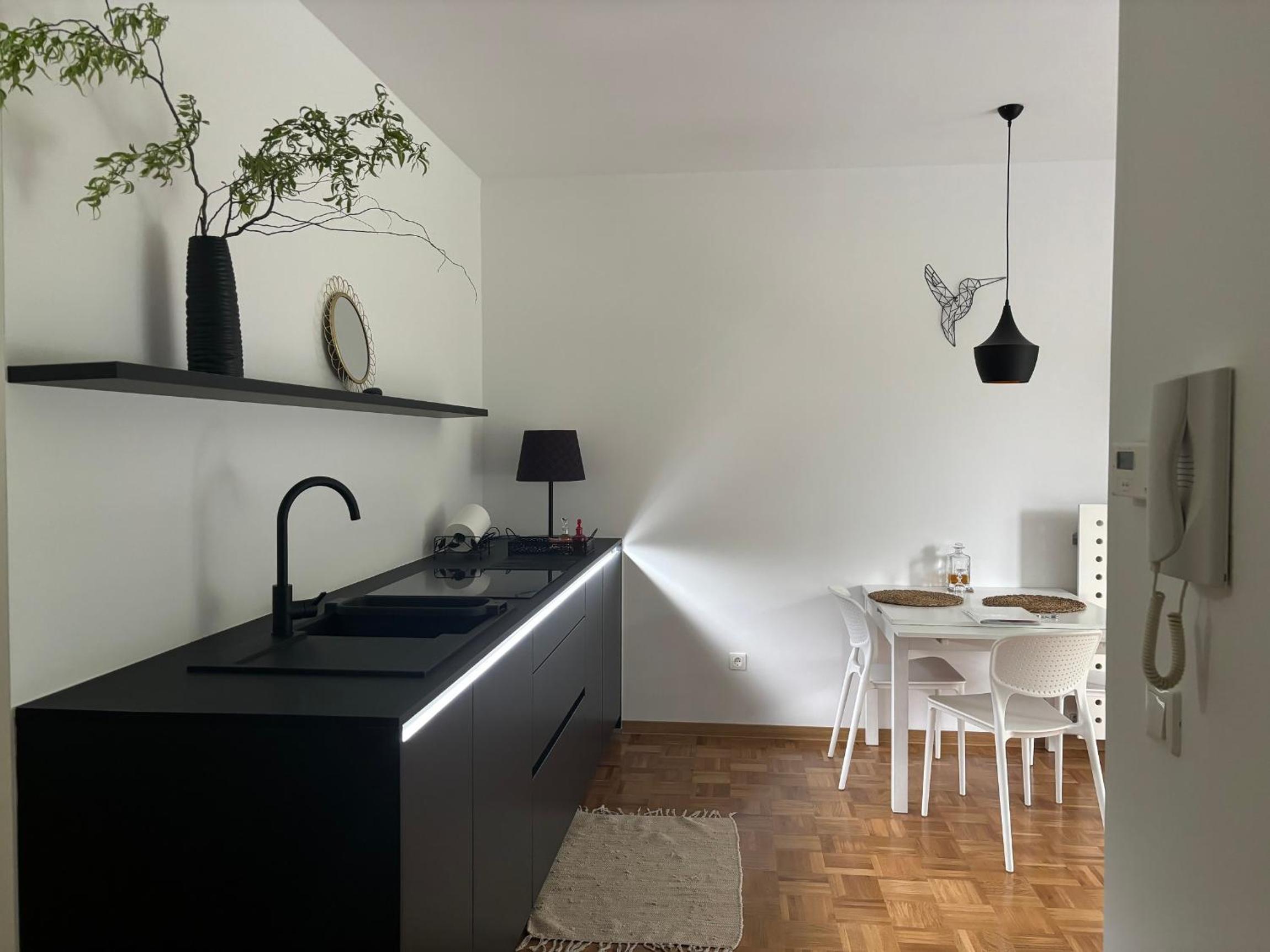 Ljubljanica Apartment view 2