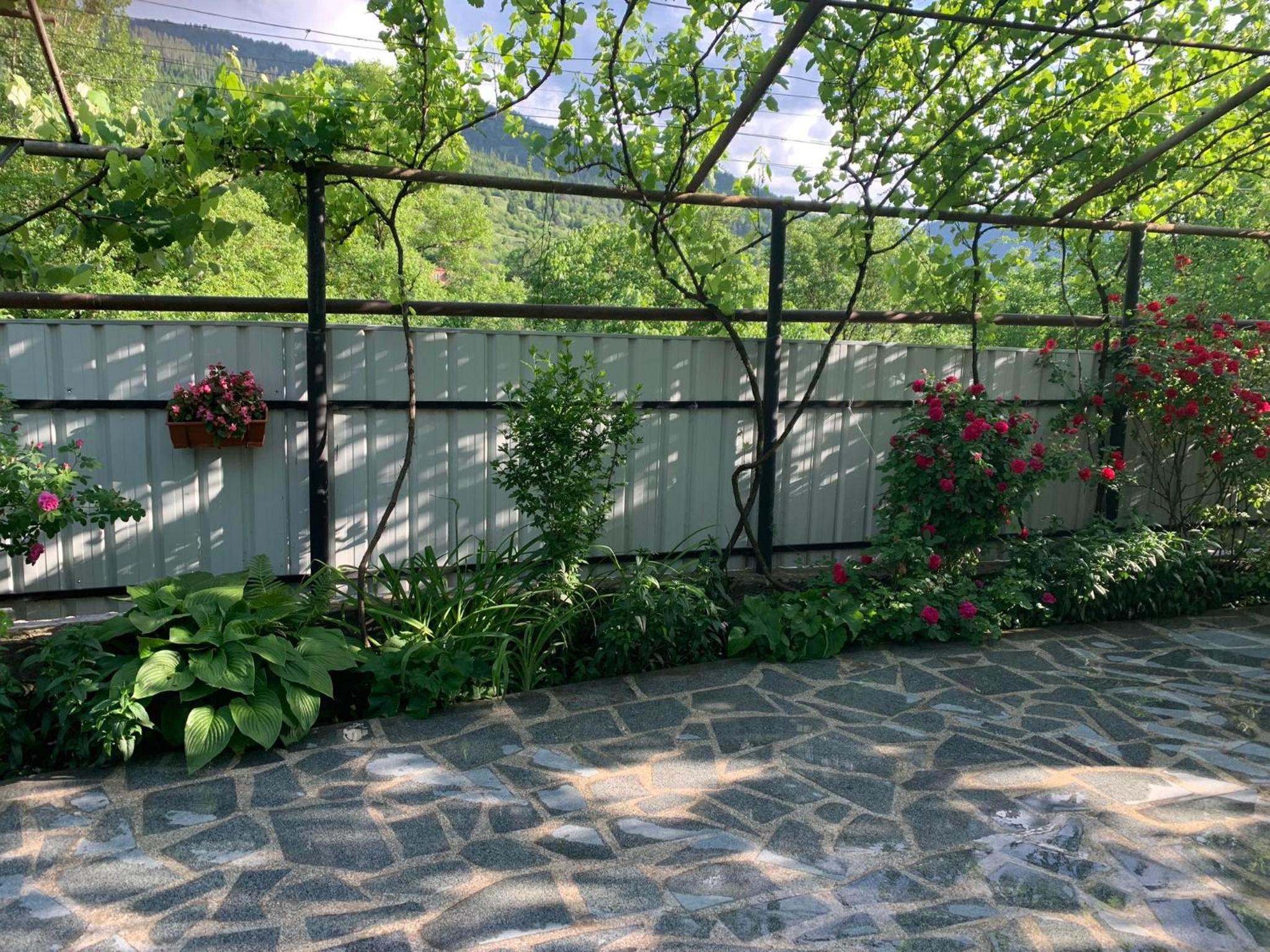 Photo 28