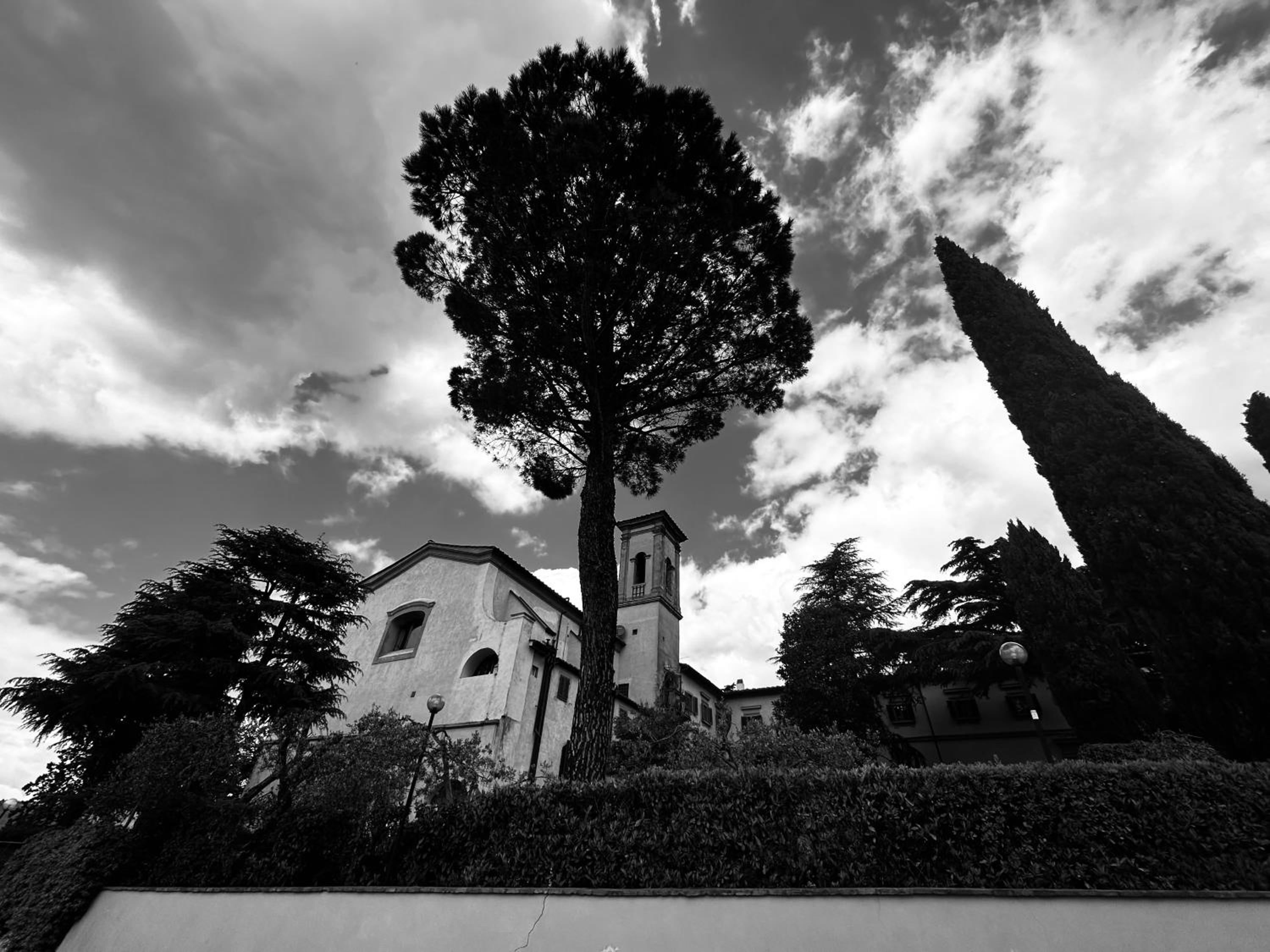 Photo 37