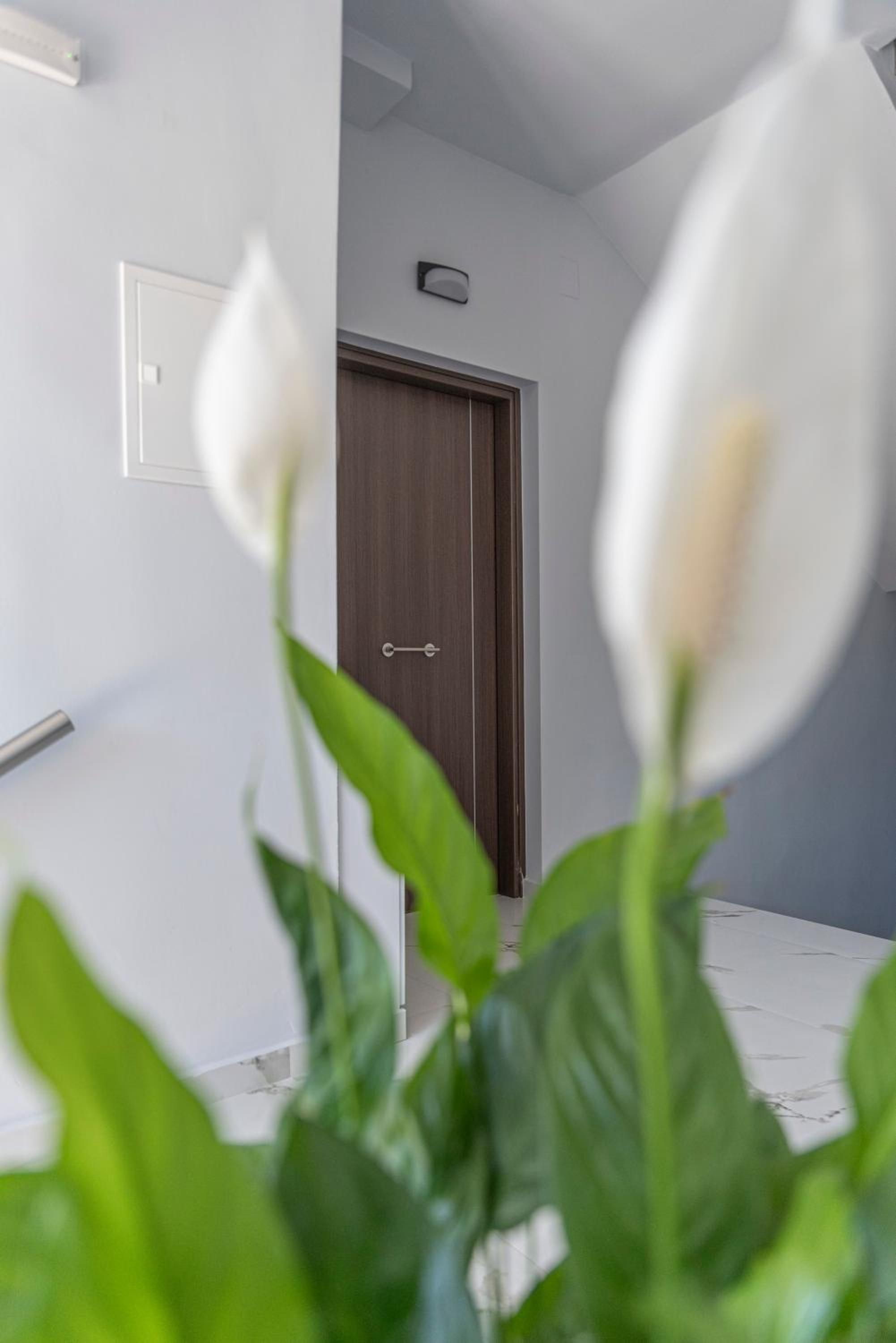 Nikisapartments Kalamata photo 2