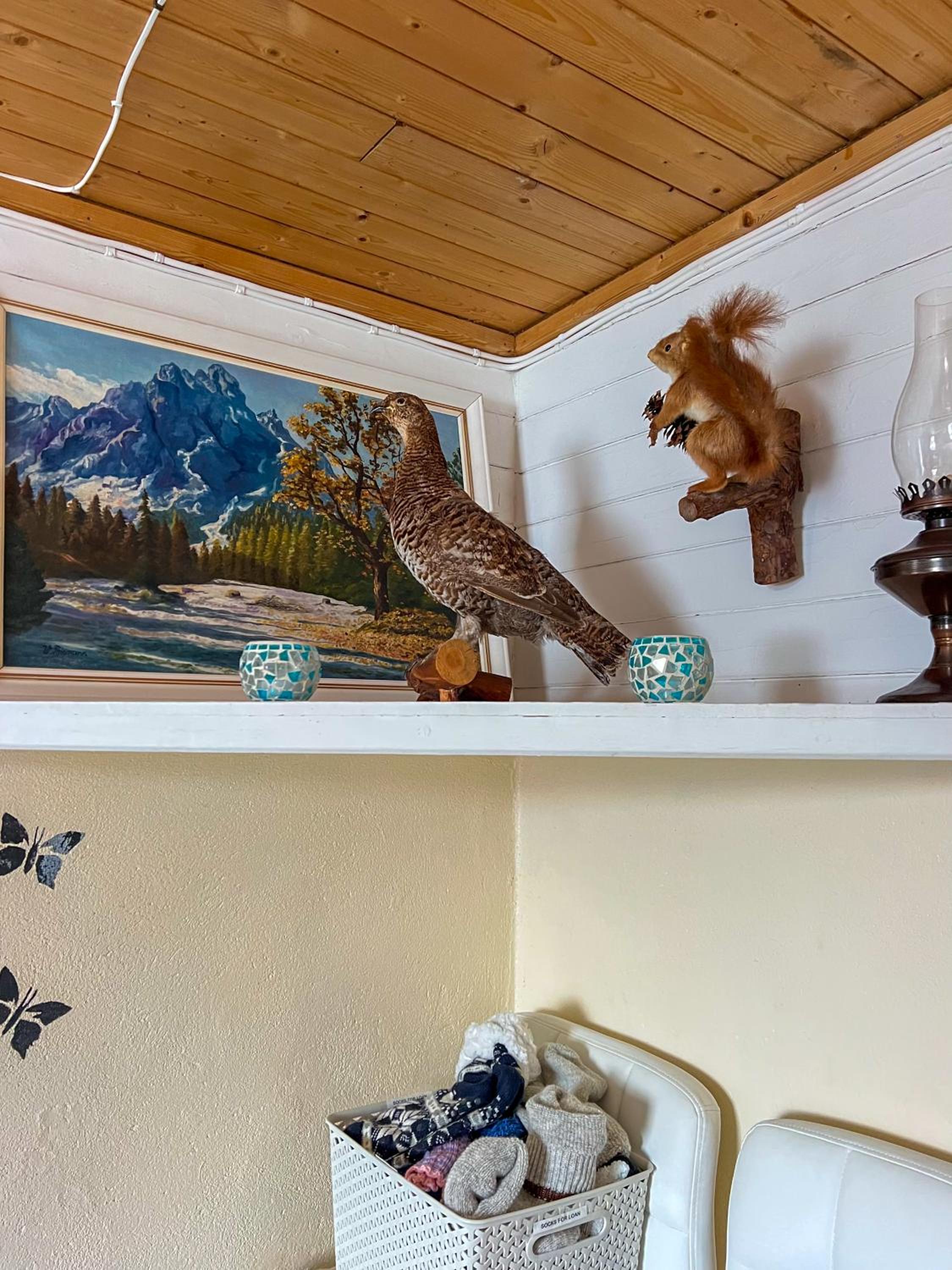 Senja - Charming cottage by the sea with terrace and fantastic view