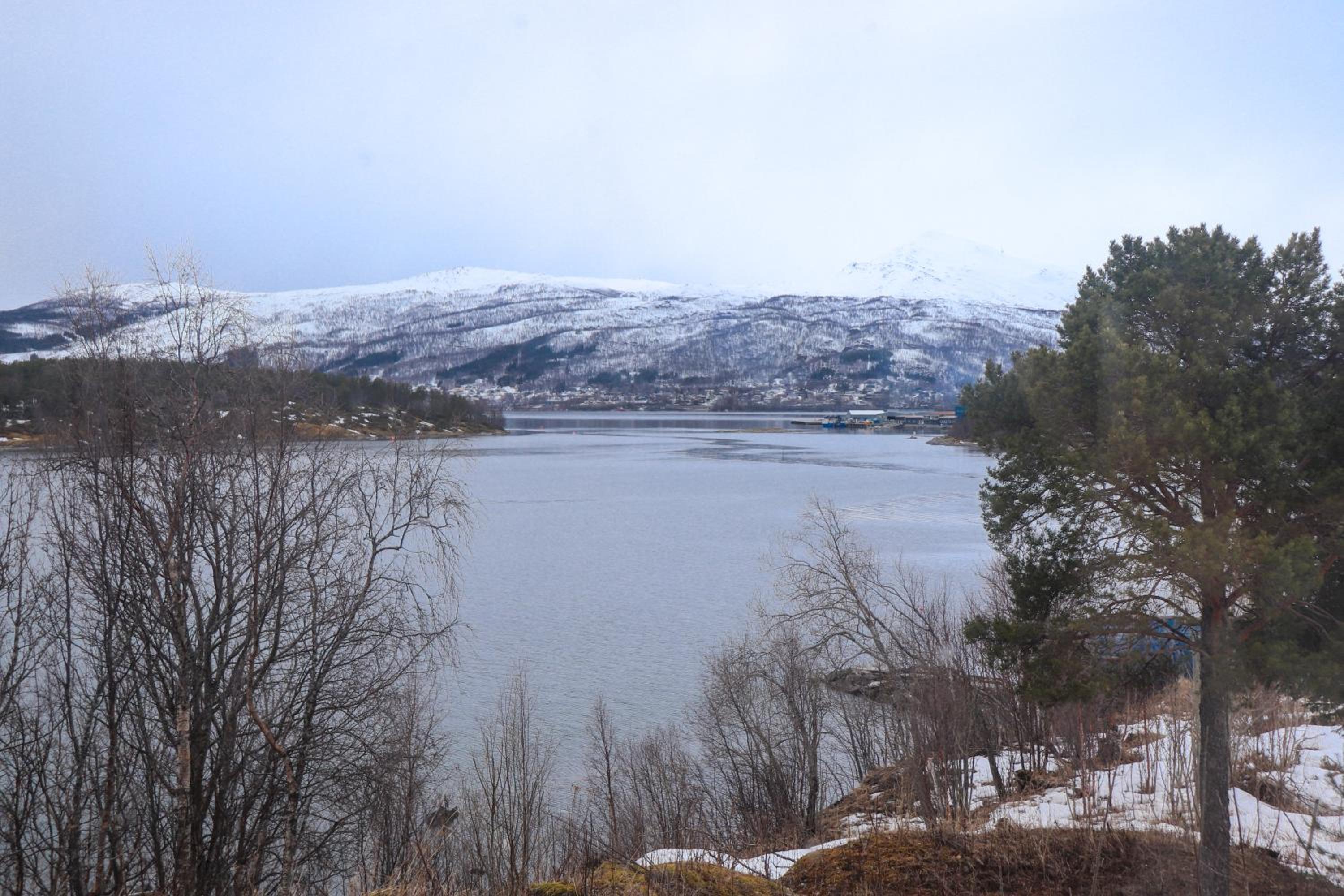 Senja - Charming cottage by the sea with terrace and fantastic view