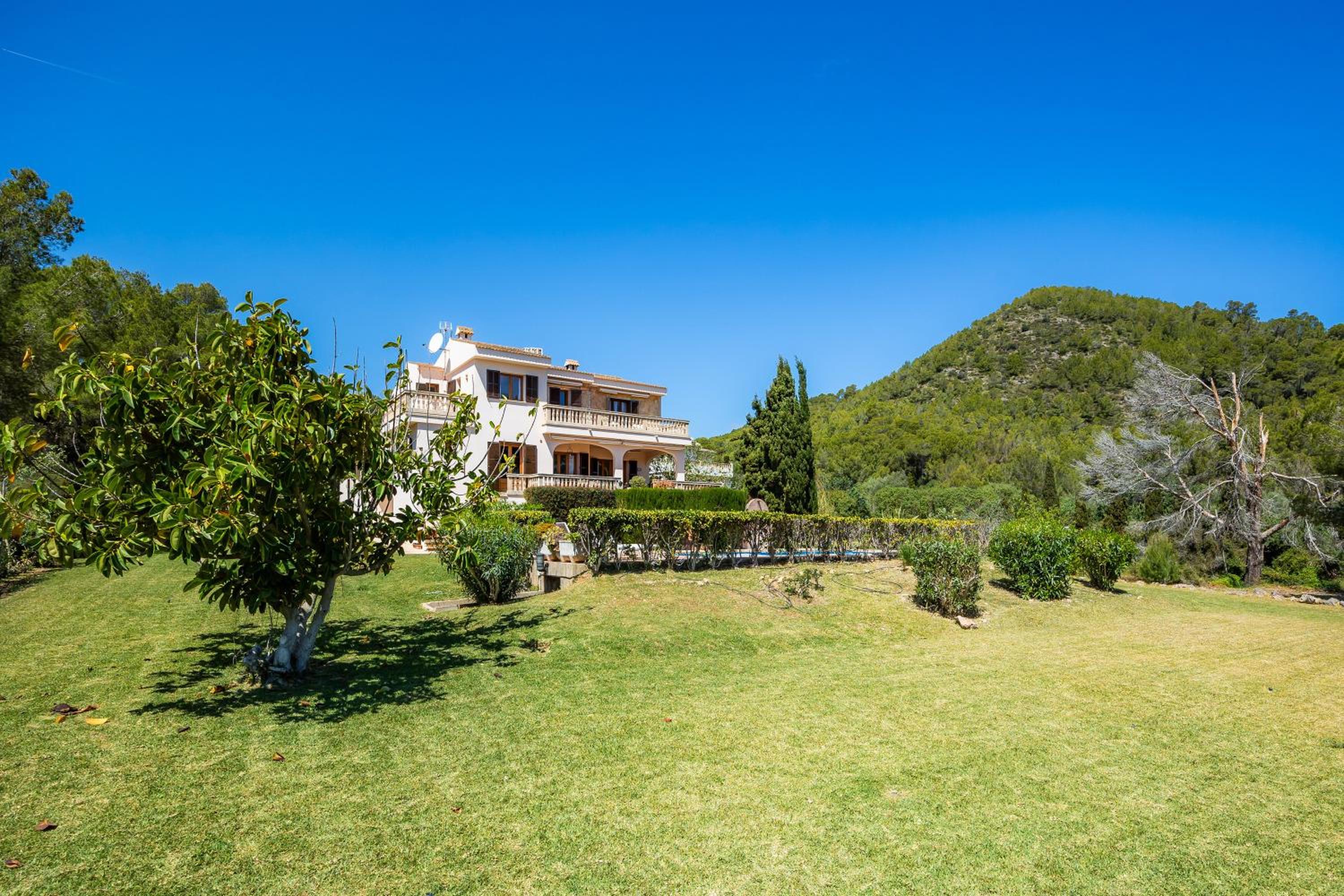 Finca Ceguer Mhm