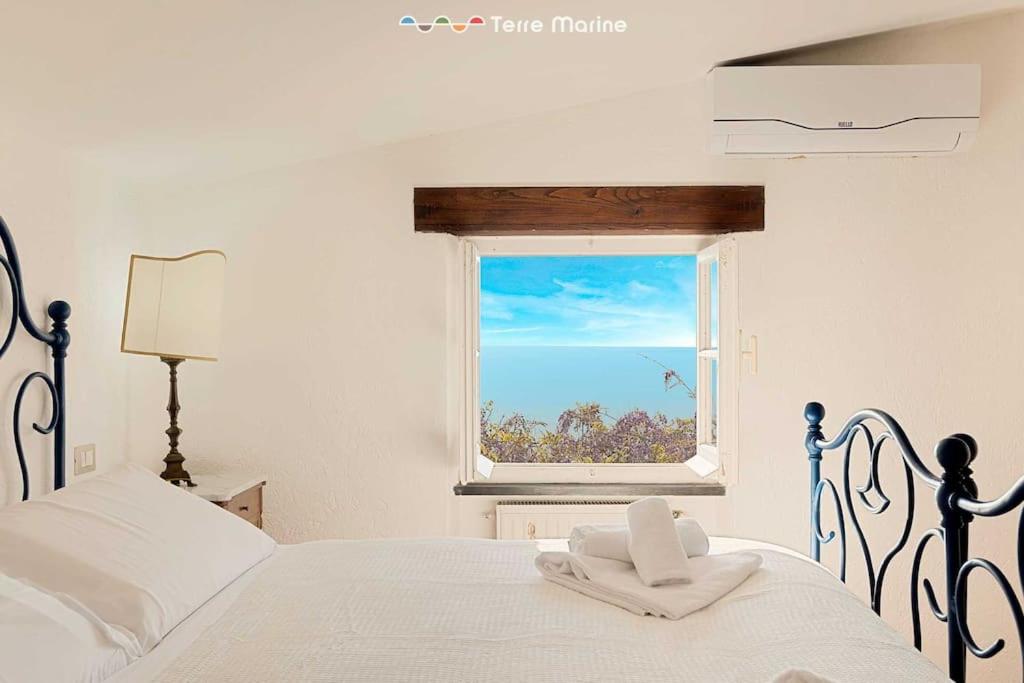 Infinito, Terre Marine view 2