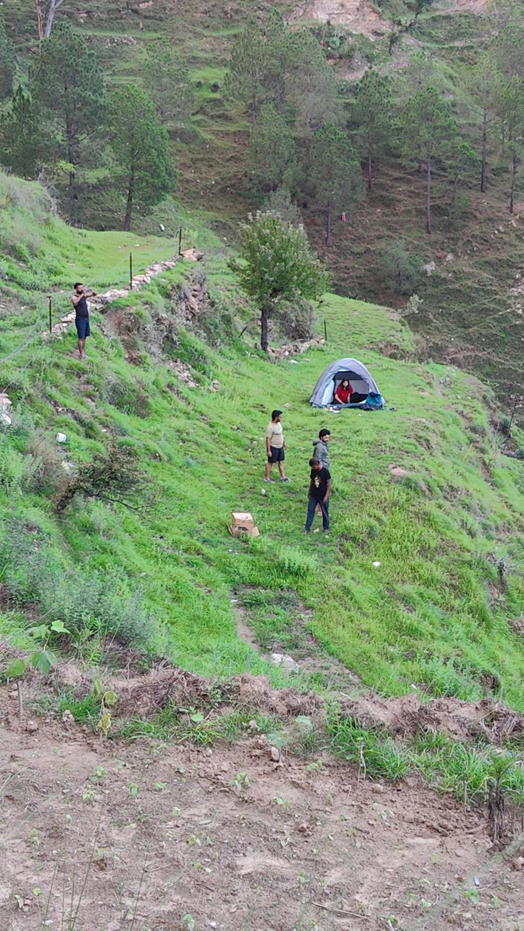 Adaara Retreat - Pet Friendly Cottages, Almora