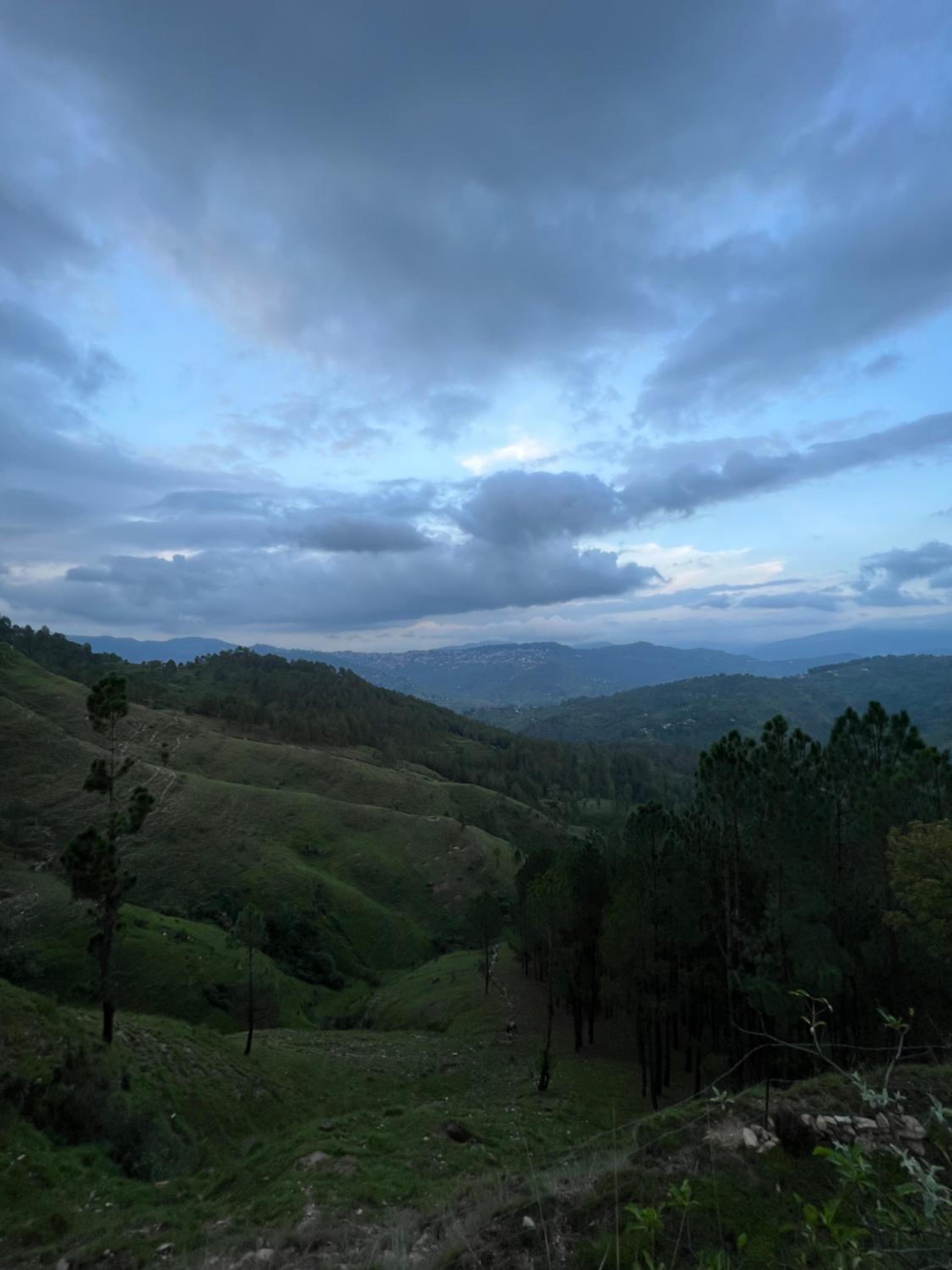 Adaara Retreat - Pet Friendly Cottages, Almora