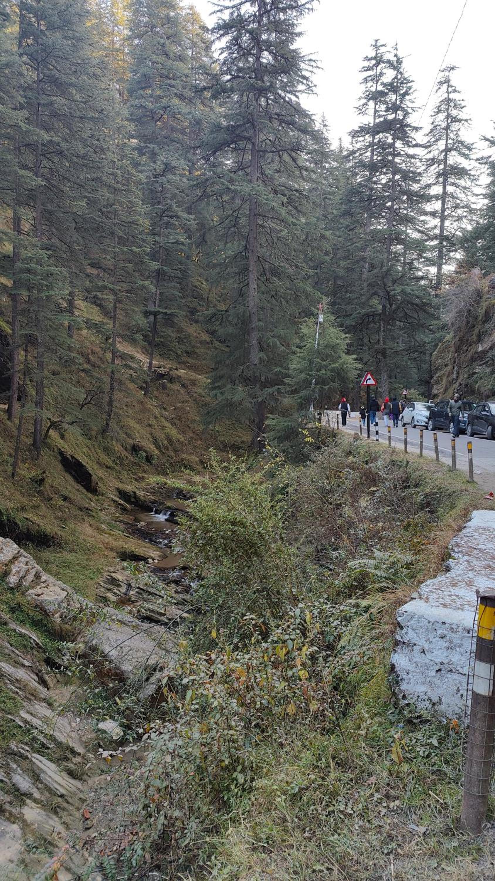 Adaara Retreat - Pet Friendly Cottages, Almora