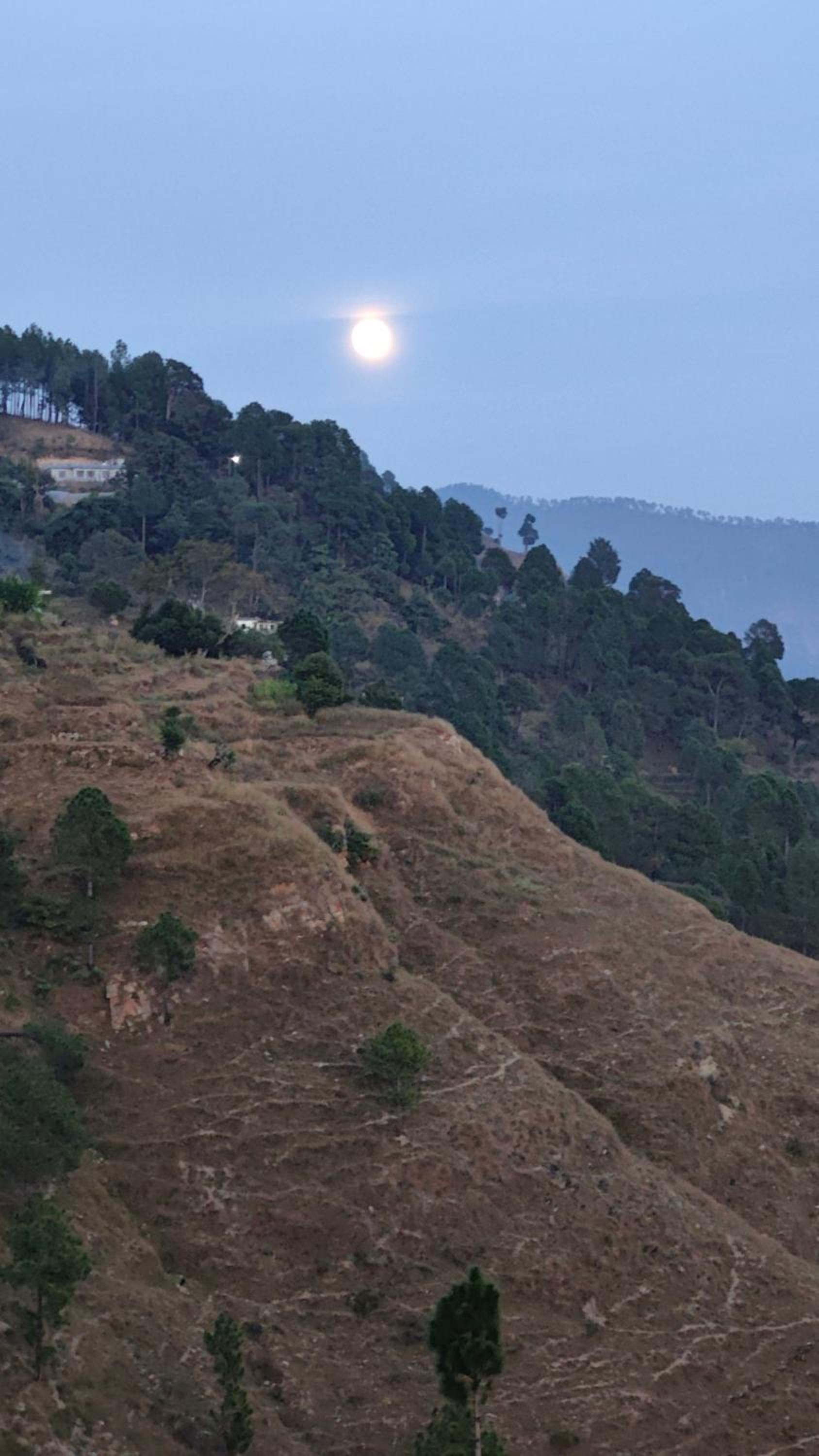 Adaara Retreat - Pet Friendly Cottages, Almora