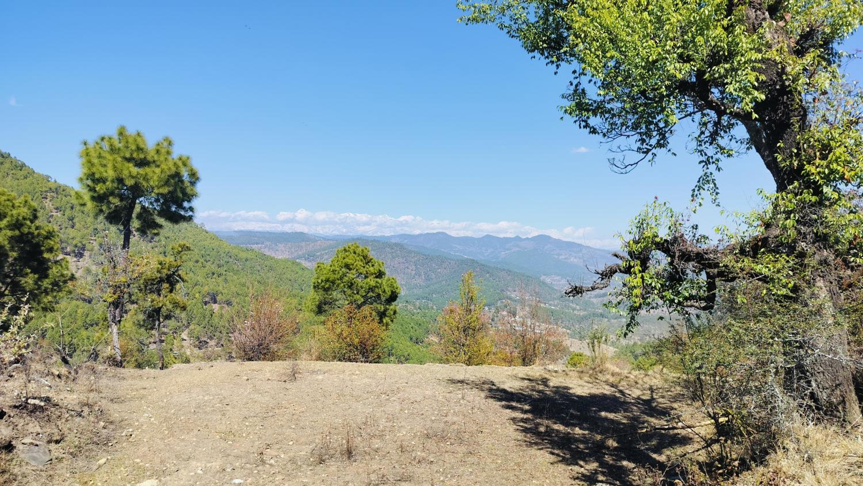 Adaara Retreat - Pet Friendly Cottages, Almora