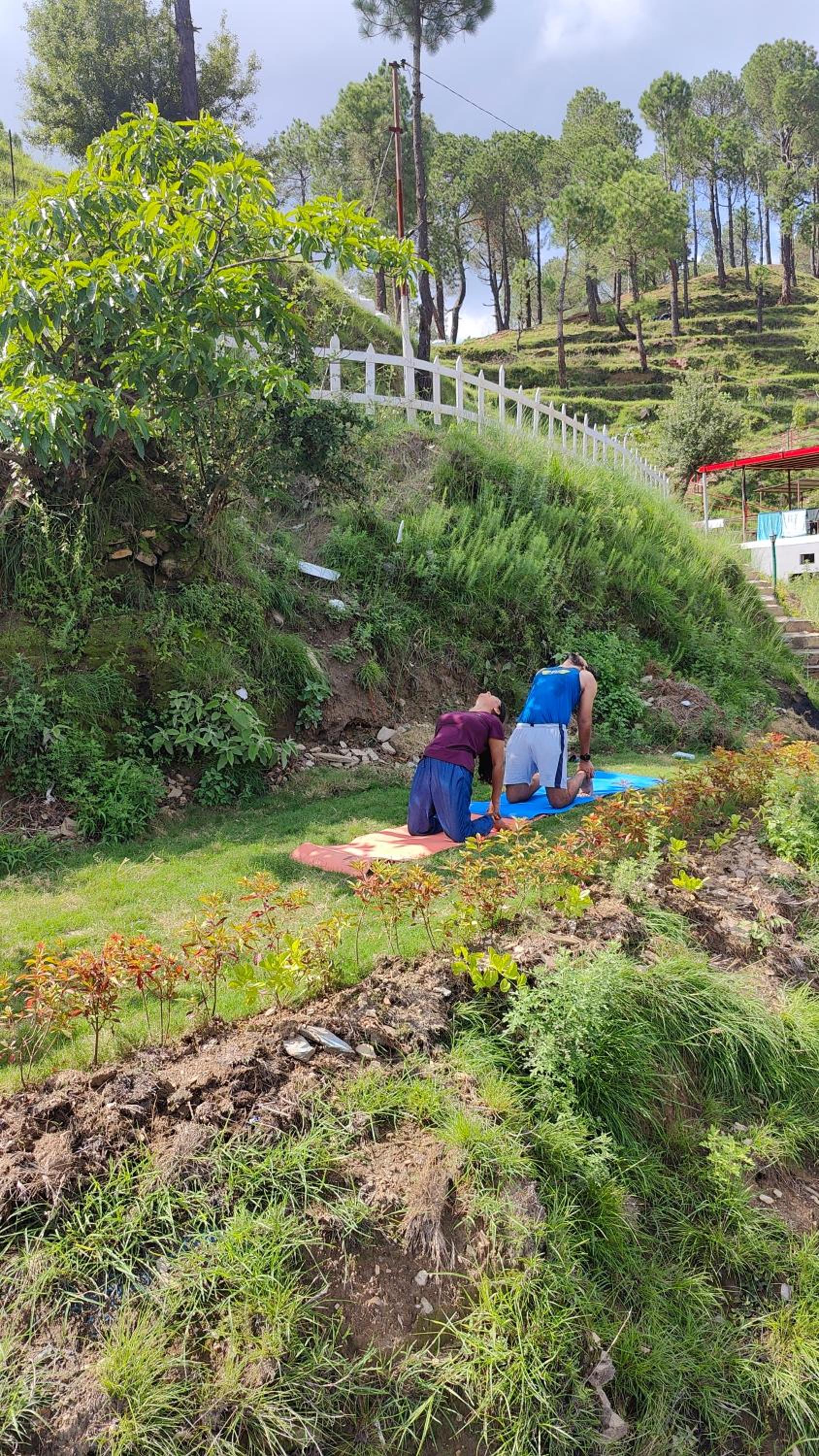 Adaara Retreat - Pet Friendly Cottages, Almora