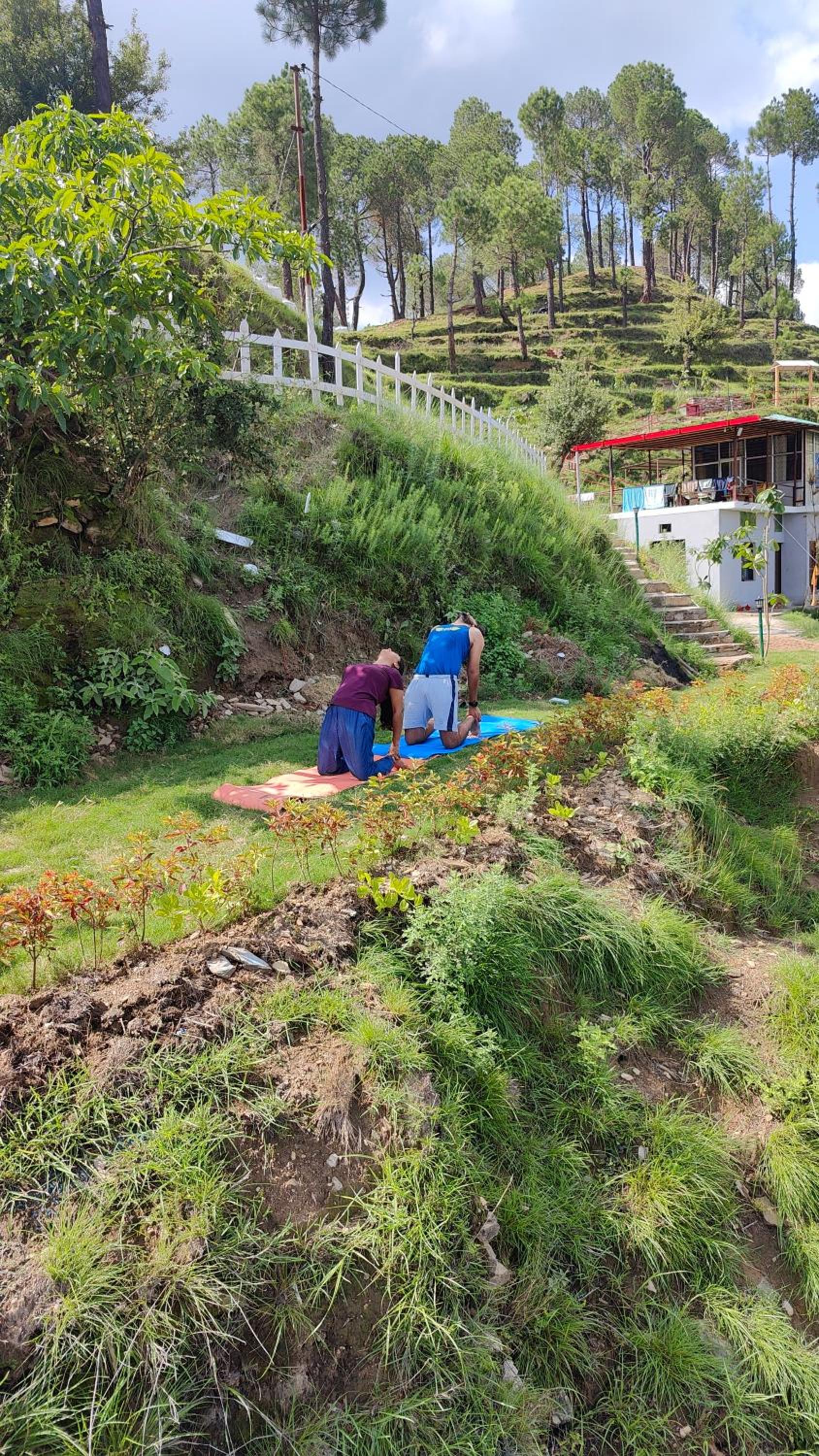 Adaara Retreat - Pet Friendly Cottages, Almora