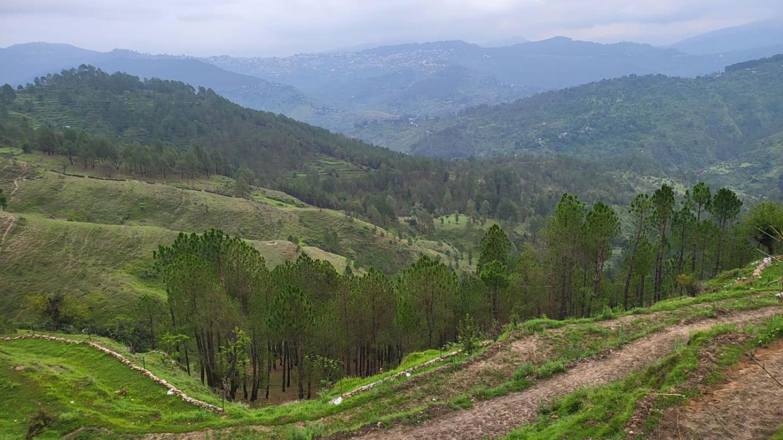 Adaara Retreat - Pet Friendly Cottages, Almora