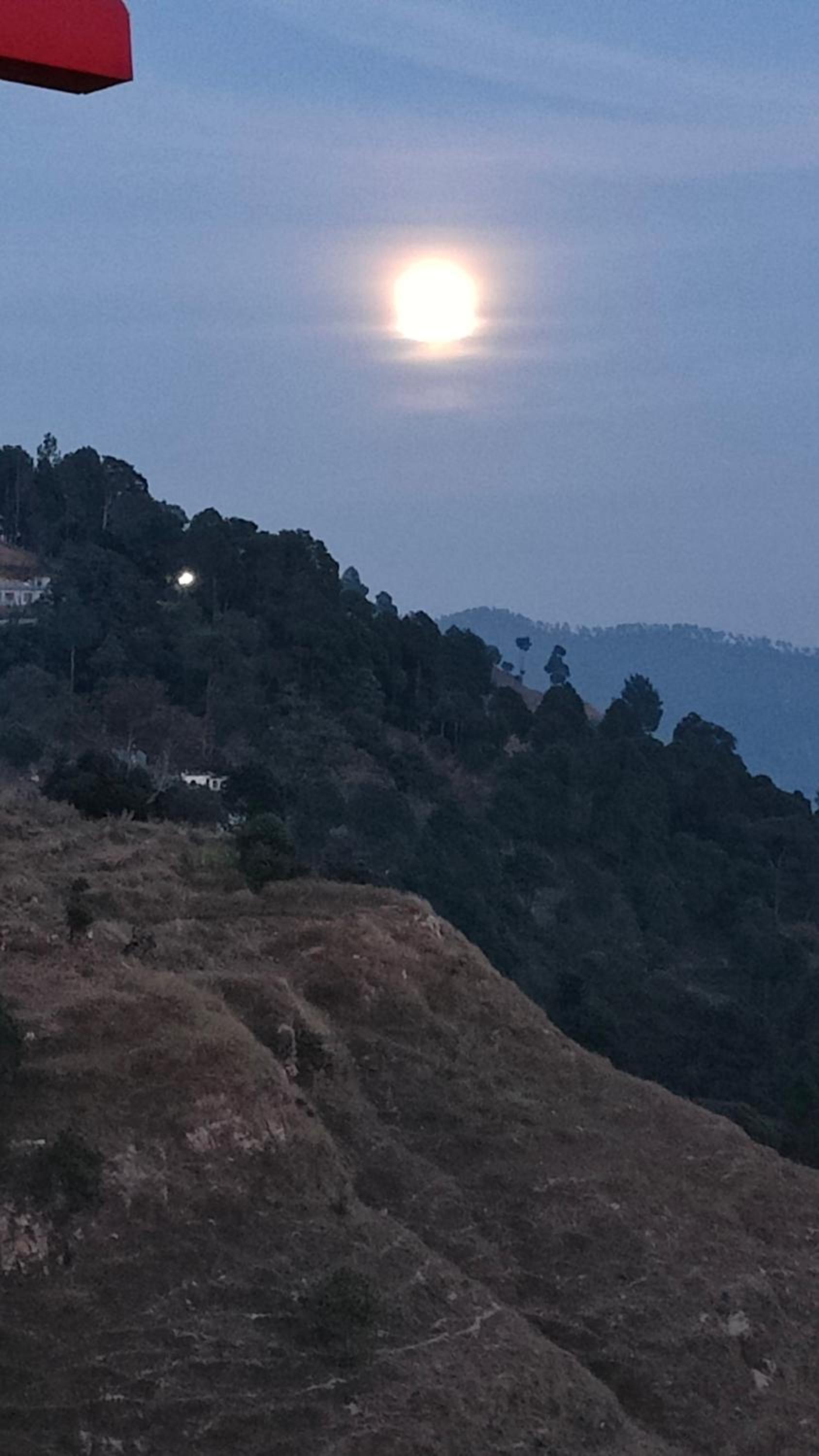 Adaara Retreat - Pet Friendly Cottages, Almora