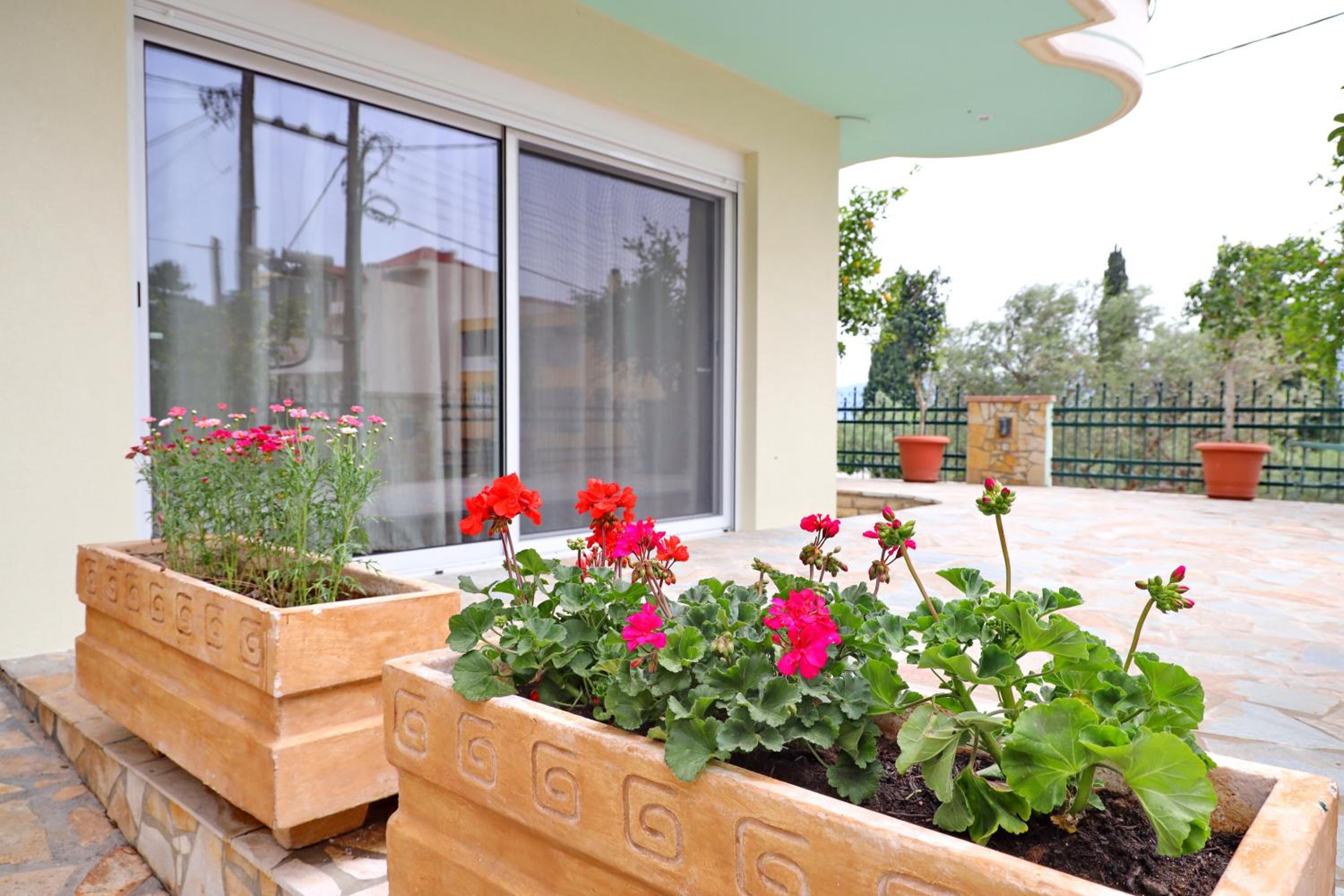 Nelly's Modern House view 5