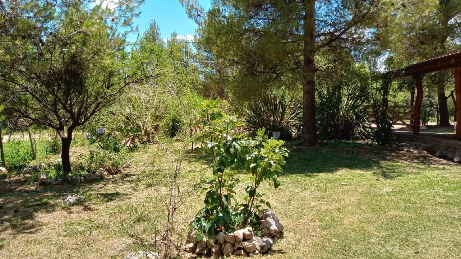 Al pie del cerro
