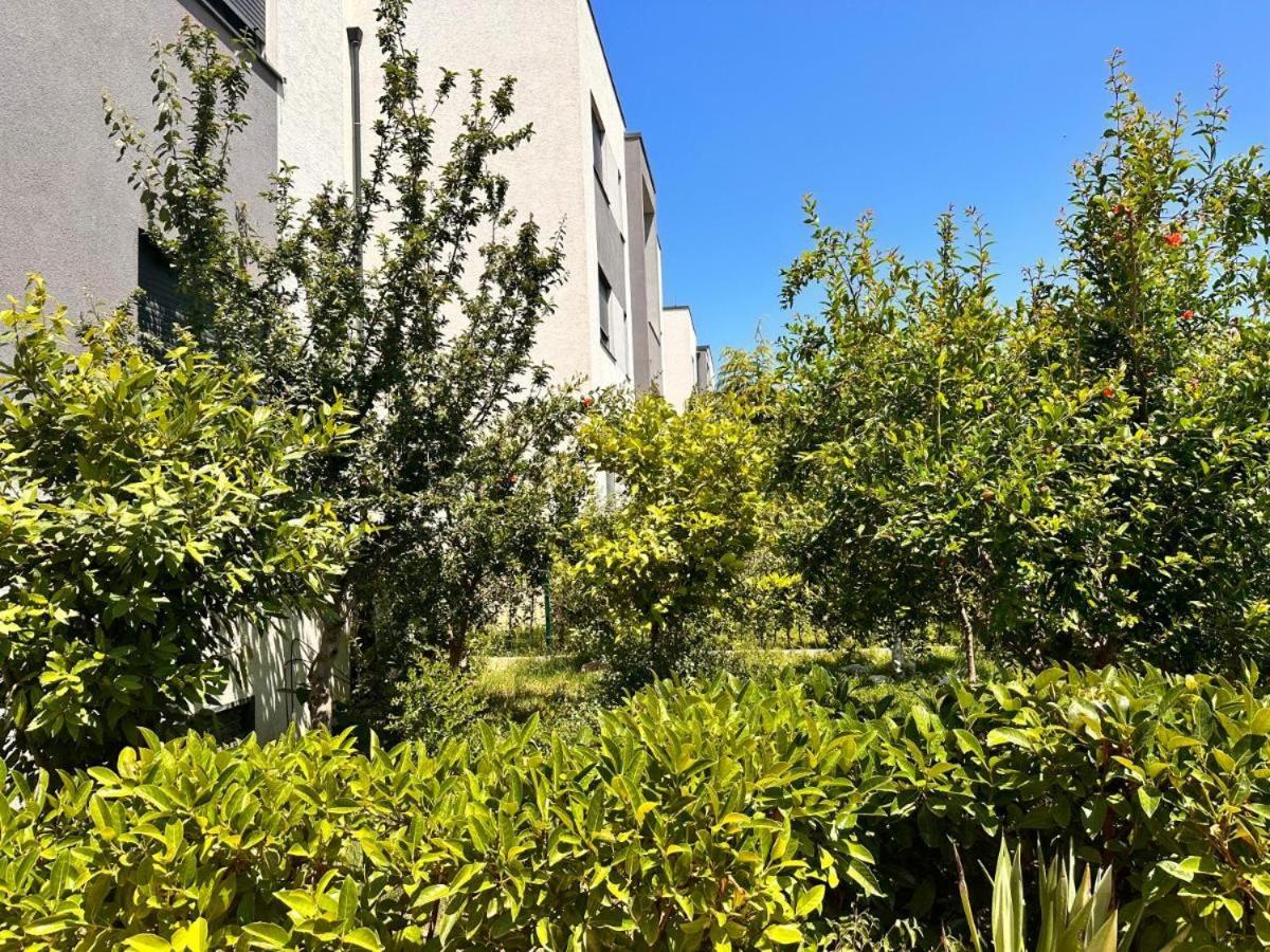 Glen Apartment Valamar
