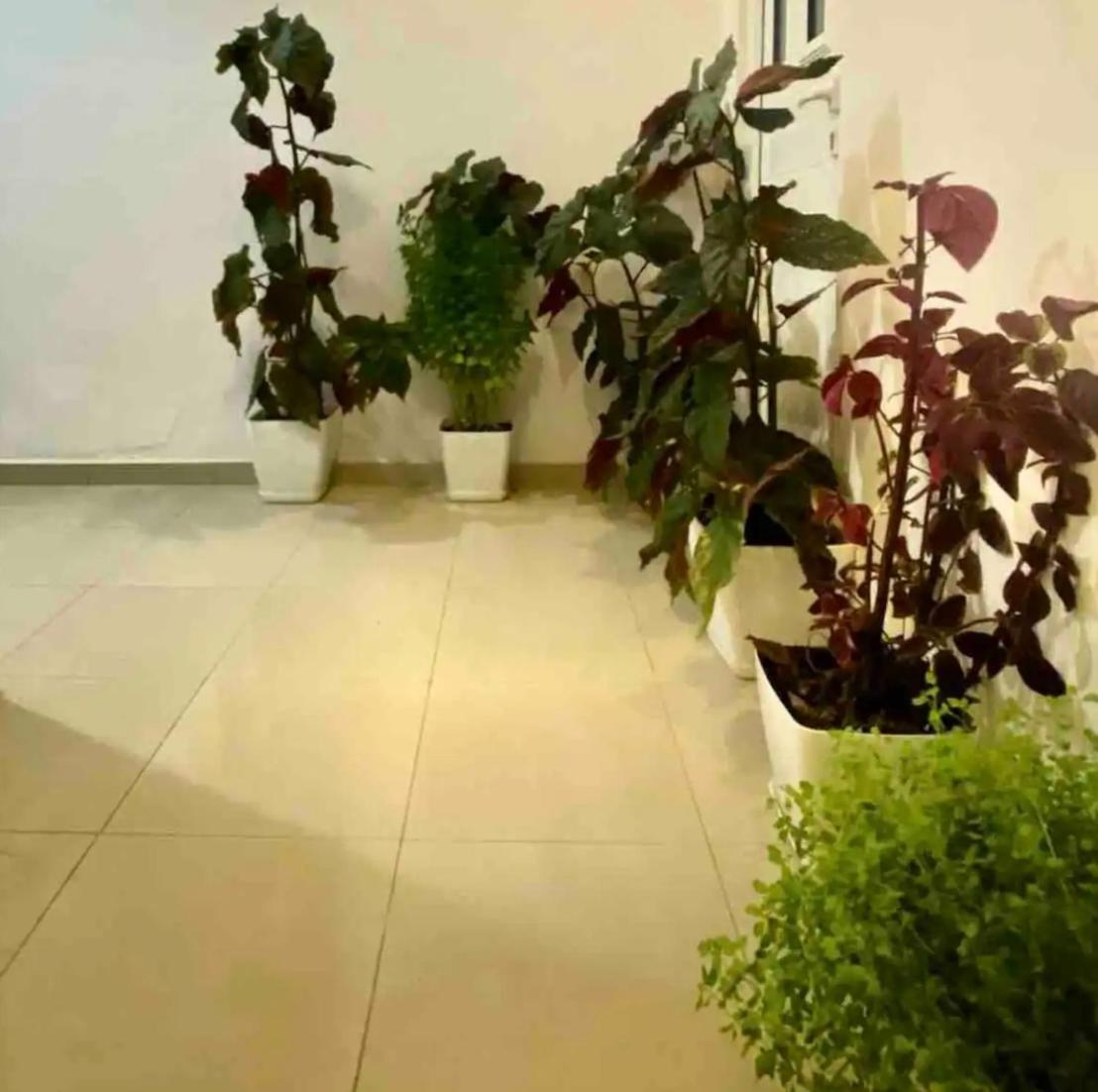 Vila Tani-2 Studios&Apartments Parking