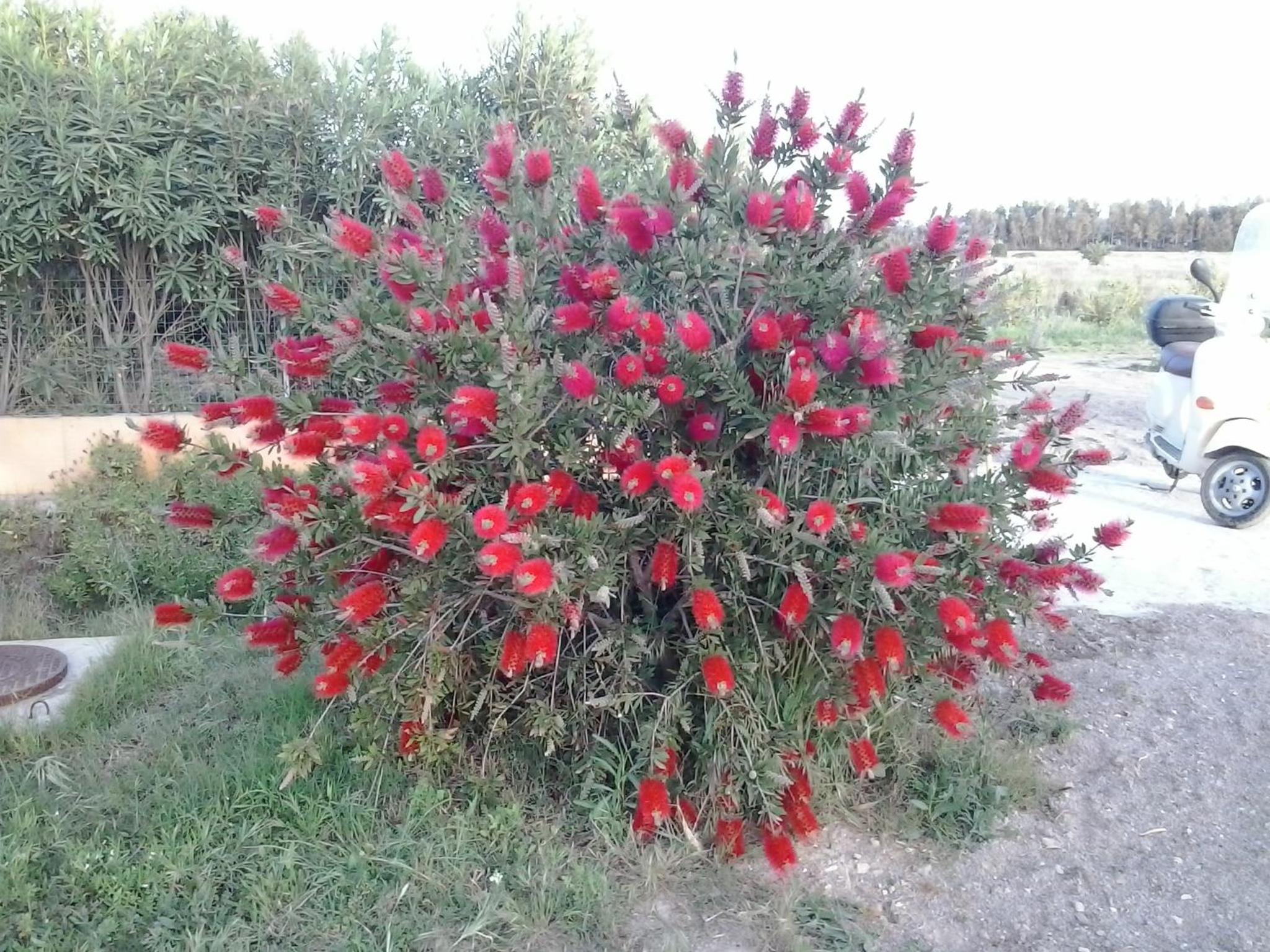 Photo 47