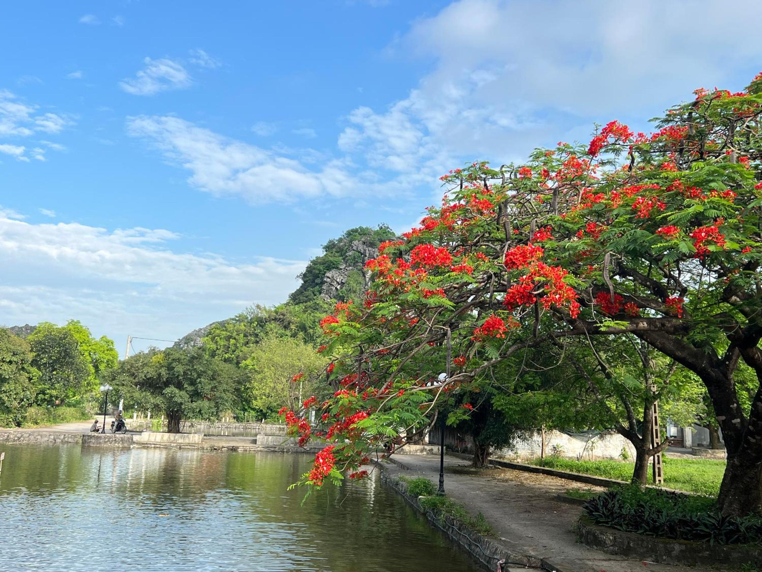Lala Boutique Villas Ninh Binh