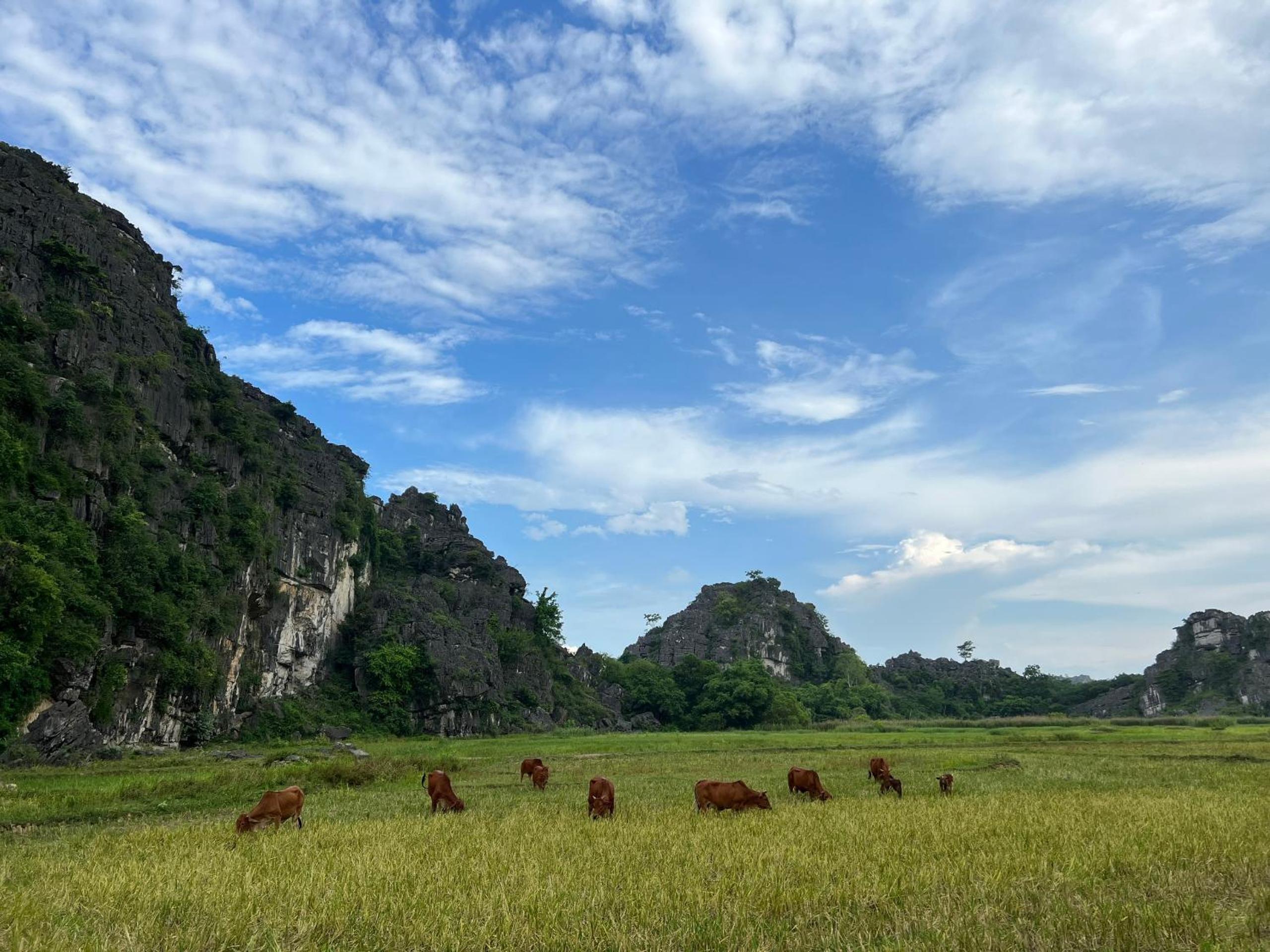 Lala Boutique Villas Ninh Binh